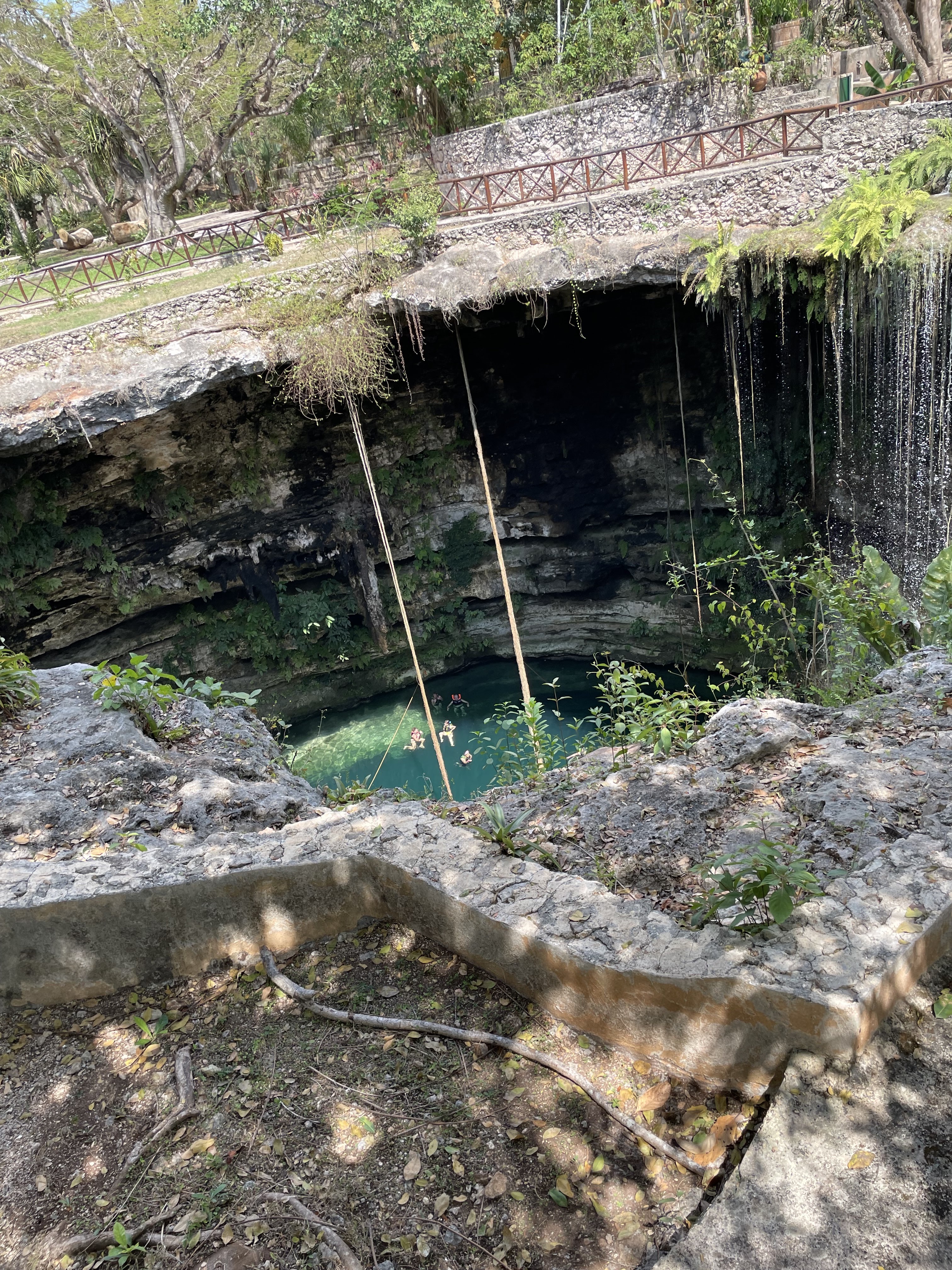 RESTAURANTE CENOTE OXMAN image 10