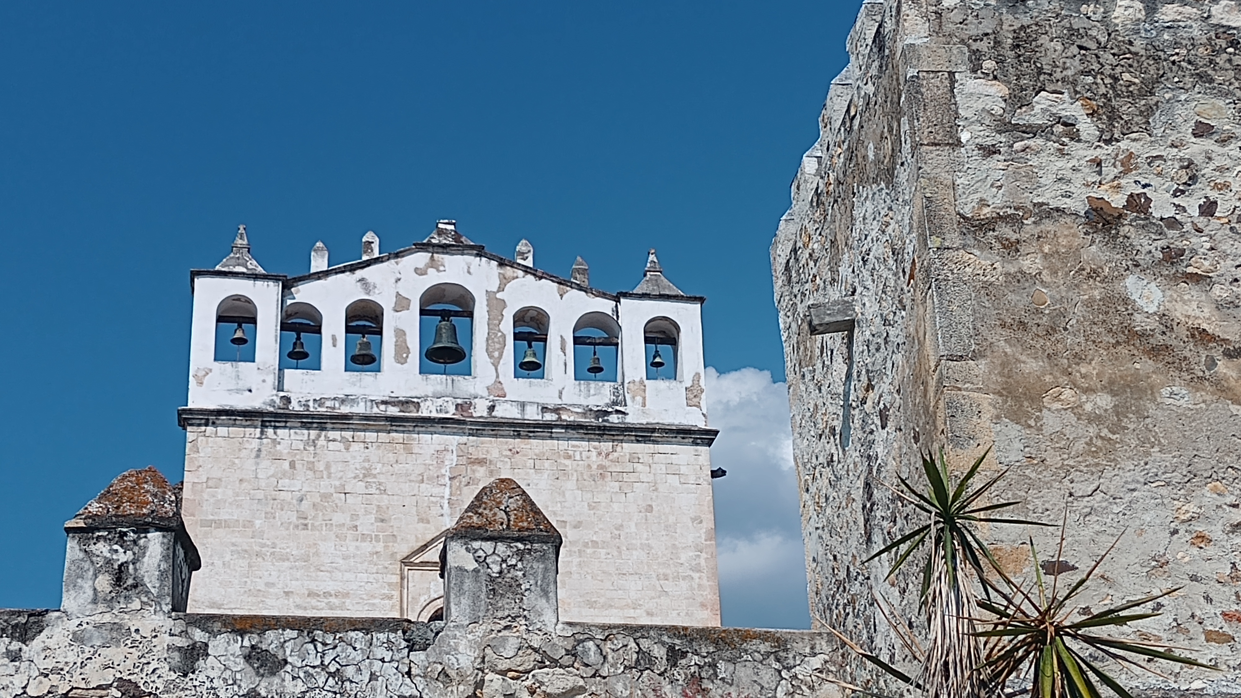 El Rincón del Jardín image 10