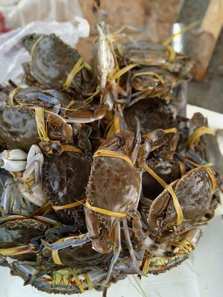 Pescadería Martínez image 1