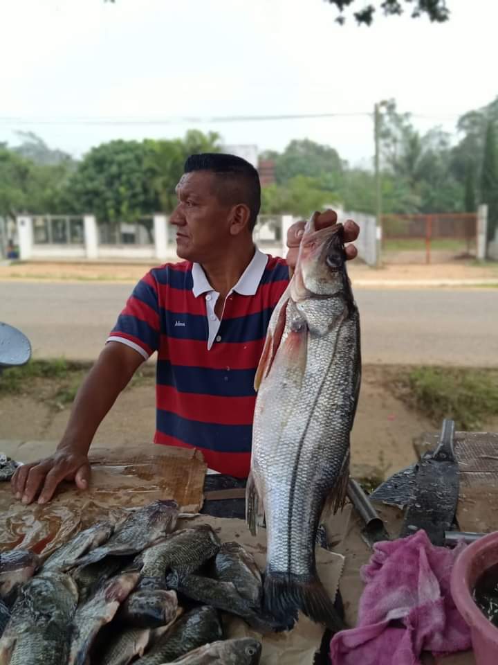 Pescadería Martínez image 3