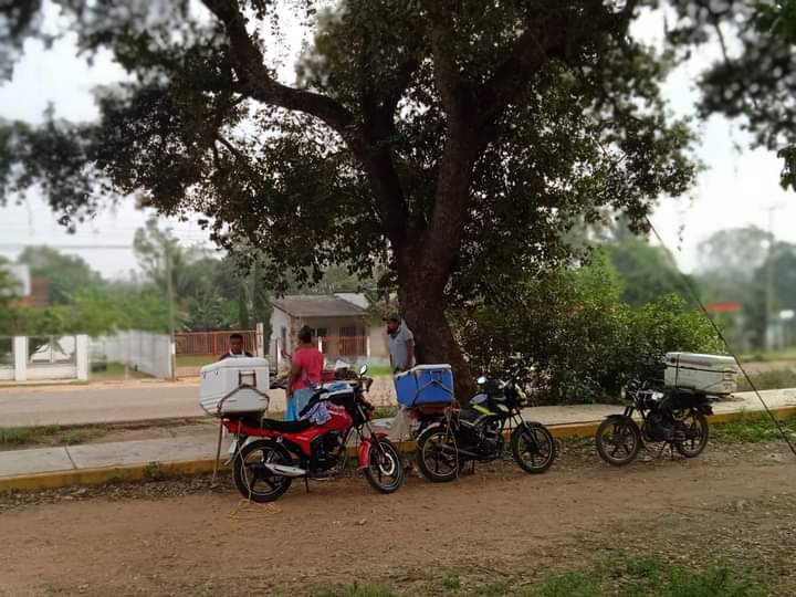 Pescadería Martínez image 4