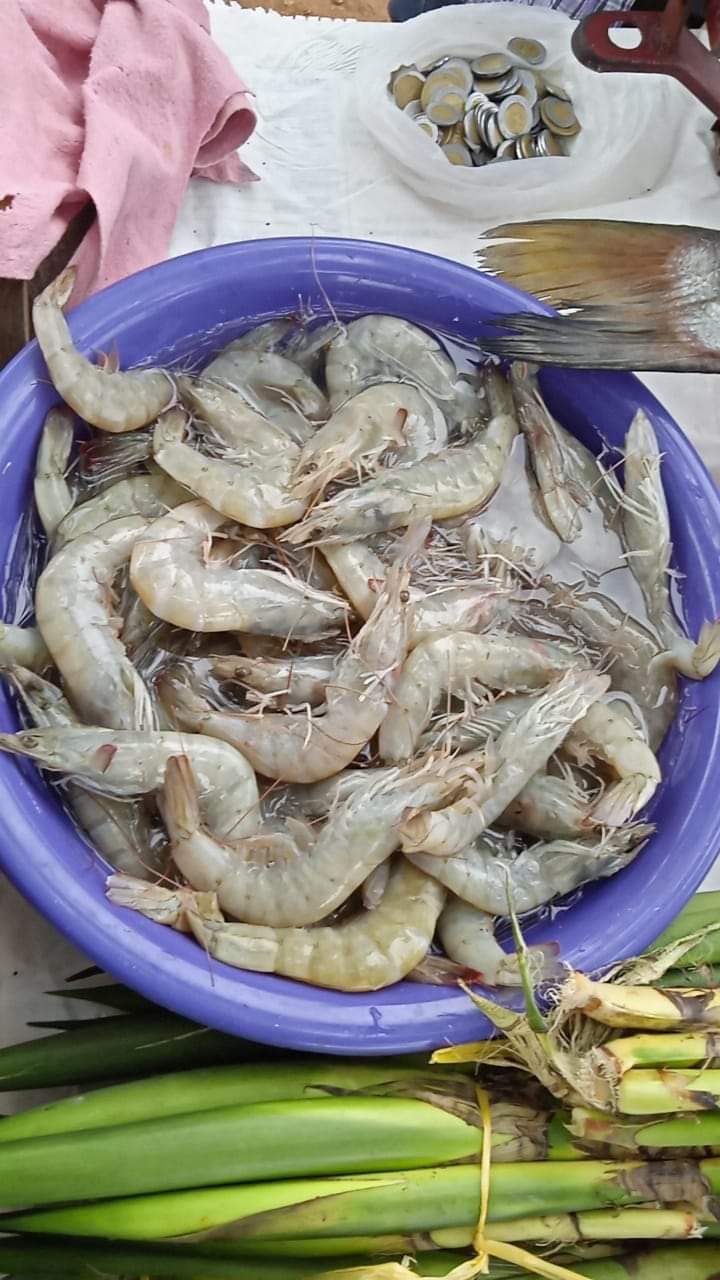 Pescadería Martínez image 5