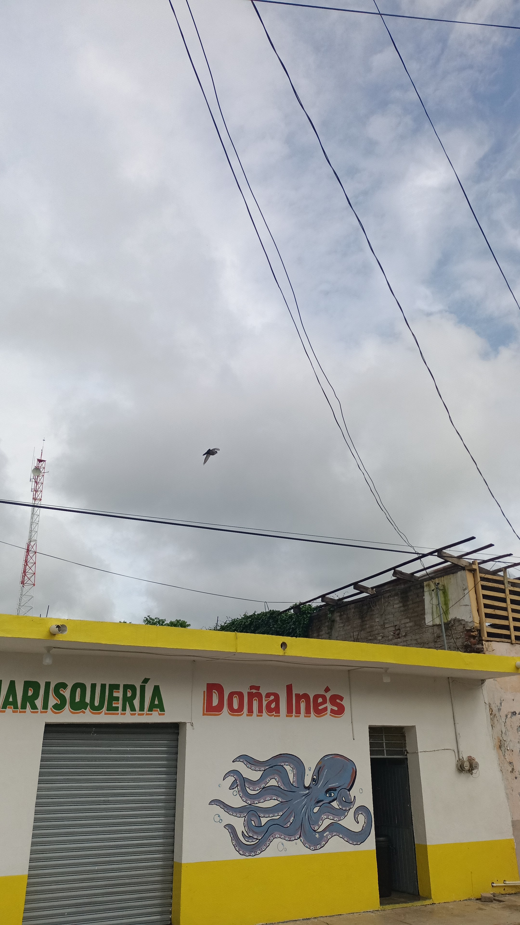 MARISQUERÍA DOÑA INÉS image 6