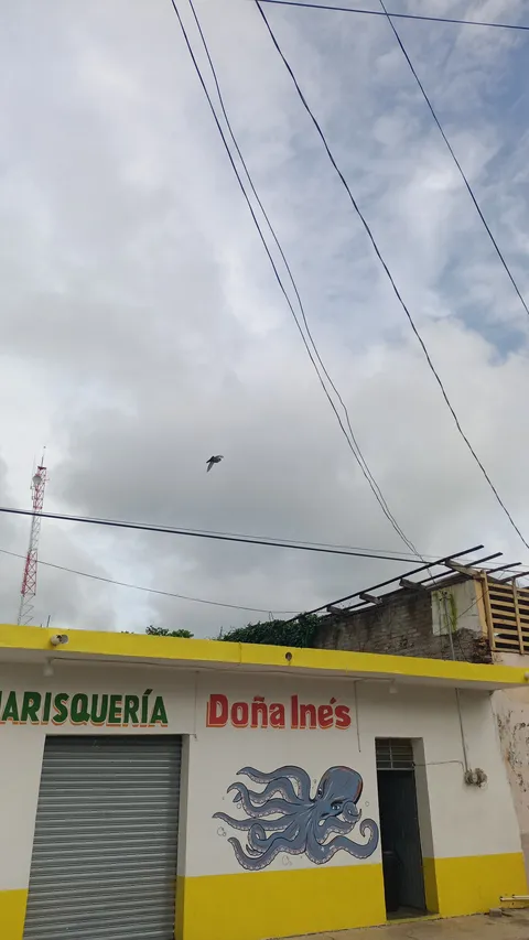 MARISQUERÍA DOÑA INÉS image 6