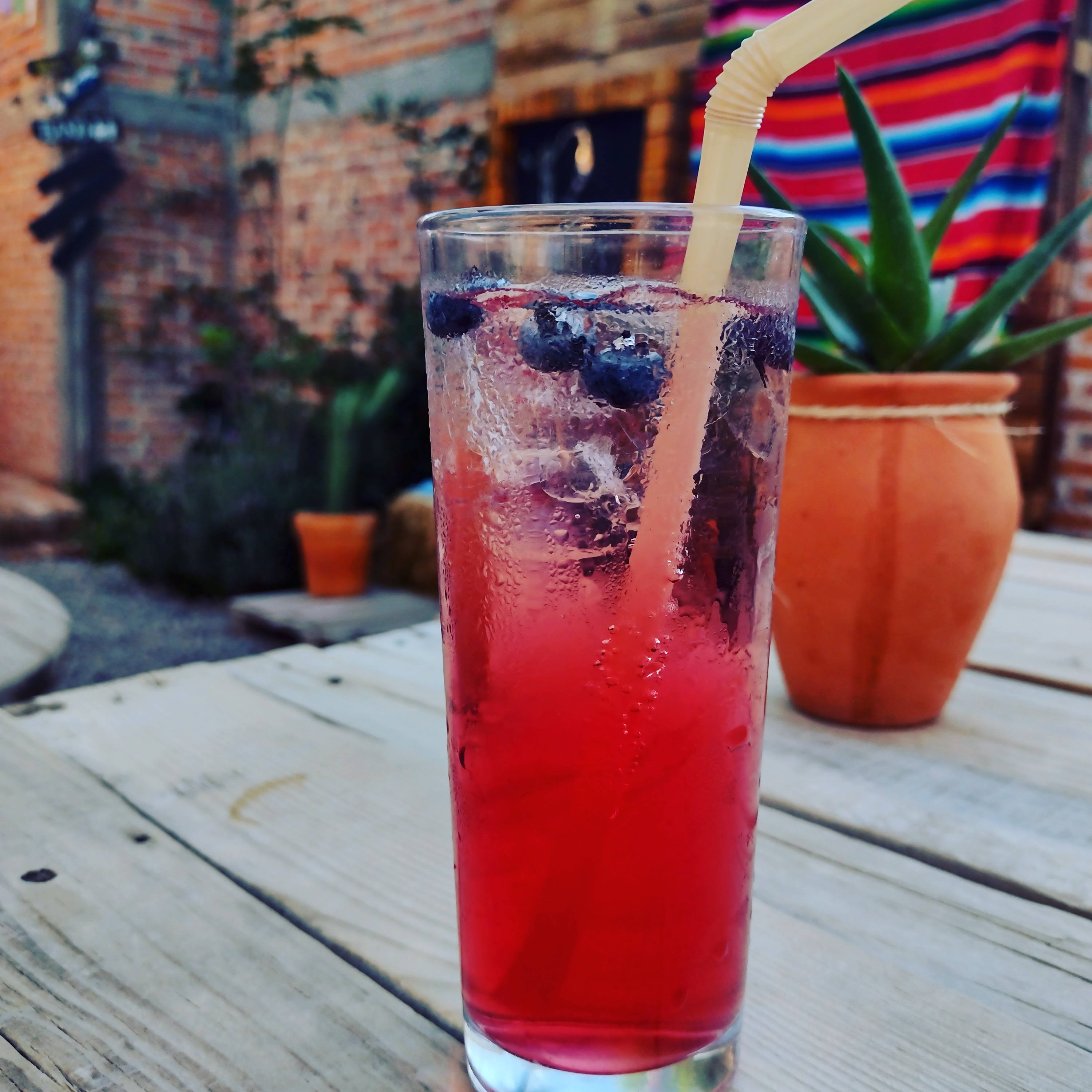 Brooklynn Wings image 4