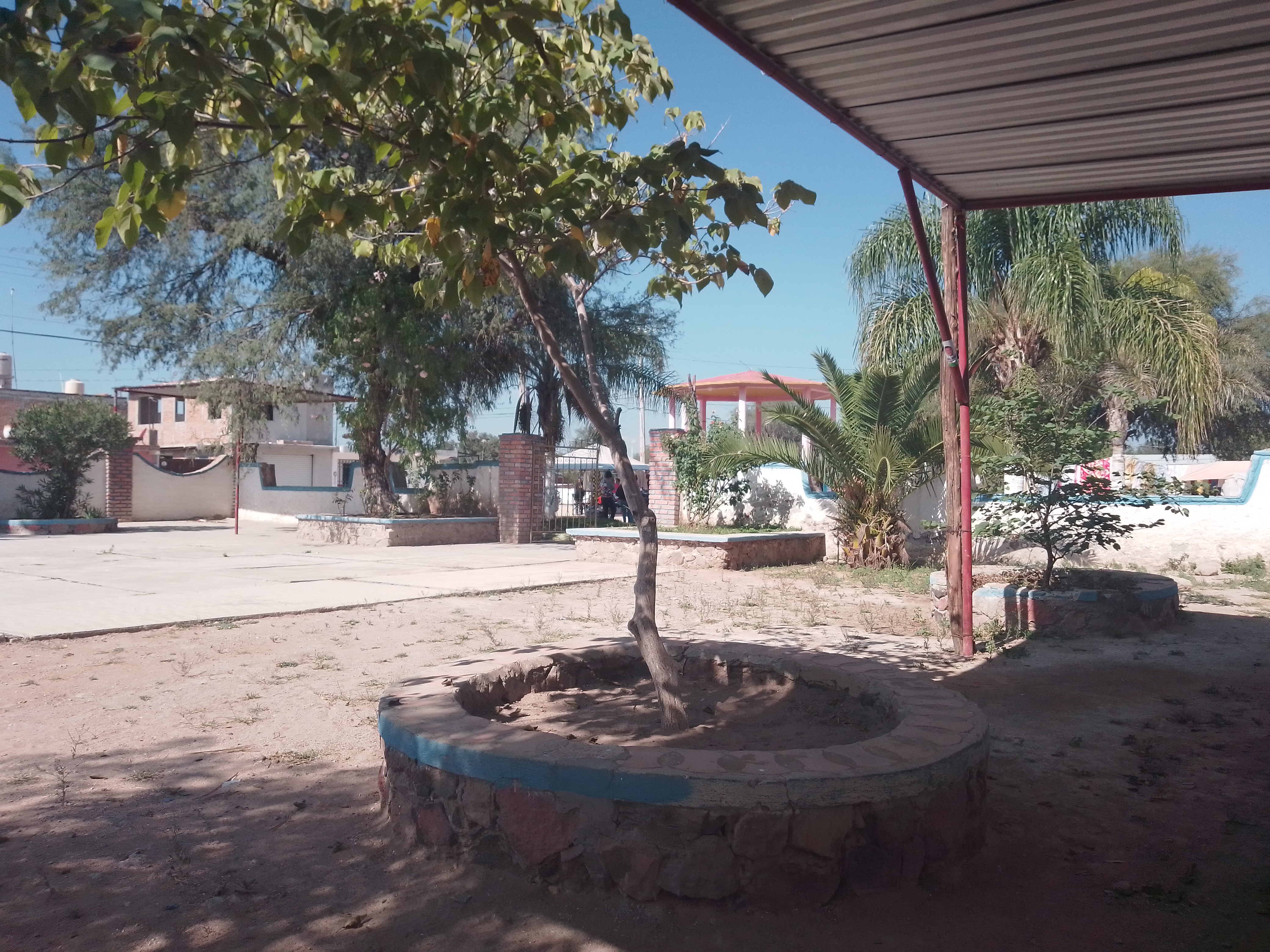 Barbacoa Don Borrego image 5