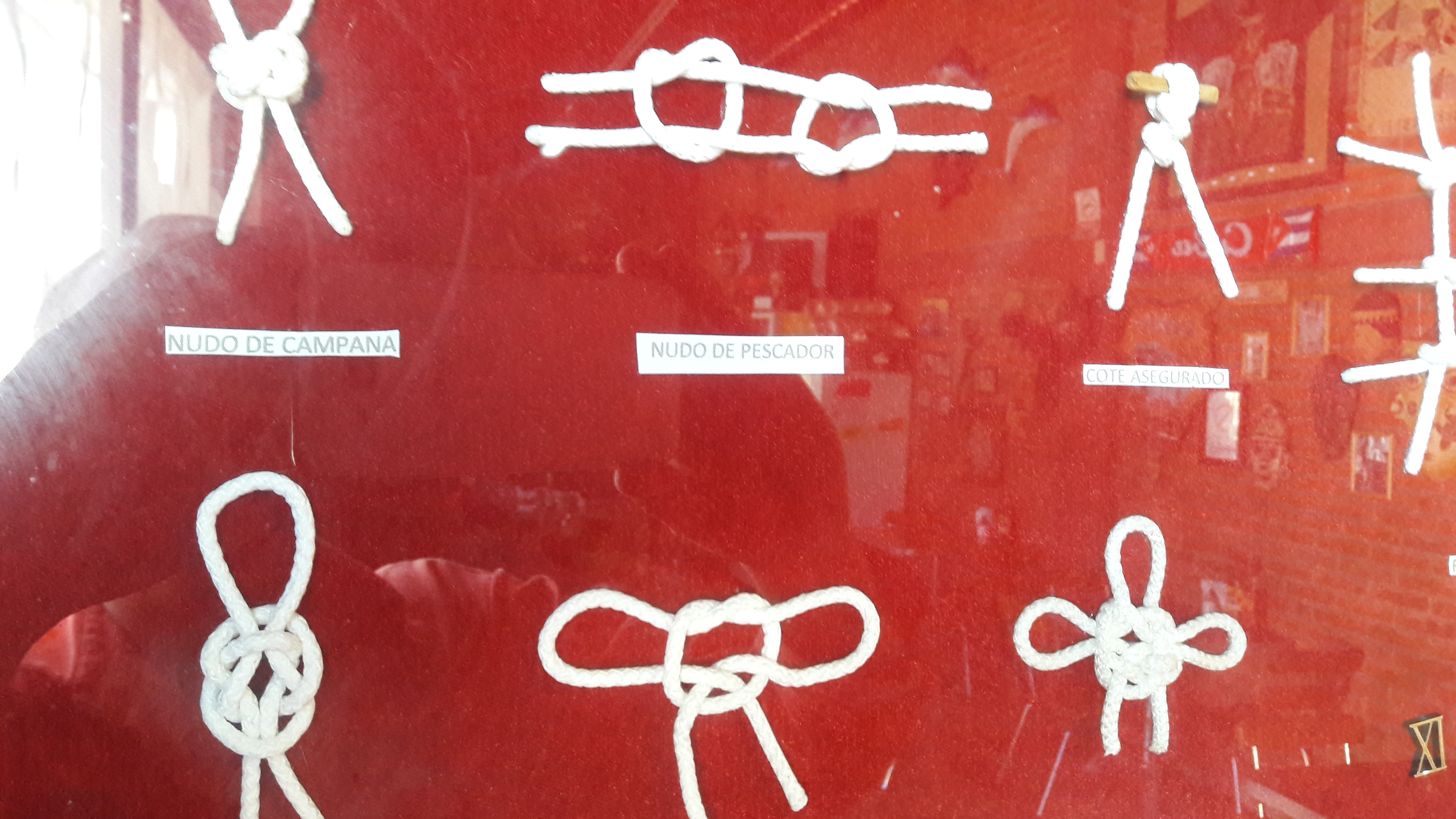 Mariscos La Iguana image 10