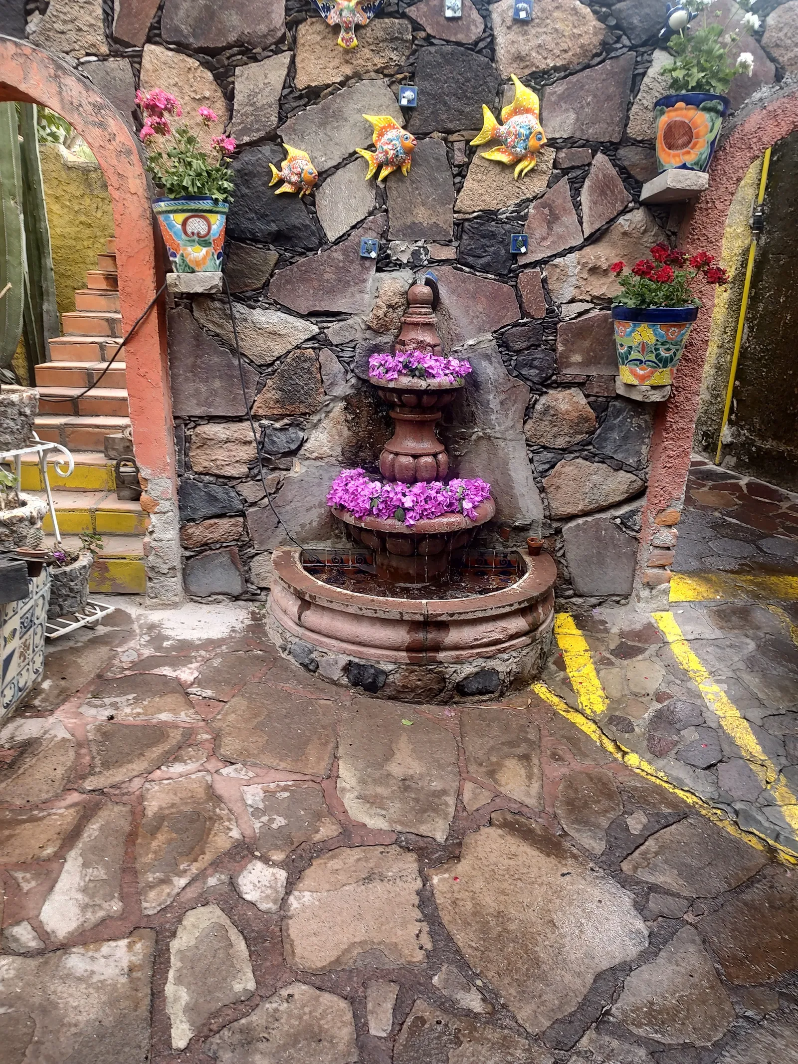 Jota Ele image 7