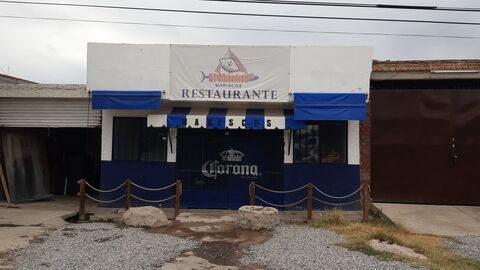 EL MARINO image 7