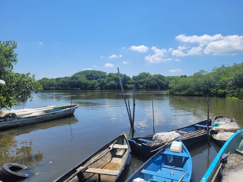 La Llegada Del Pescador image 3