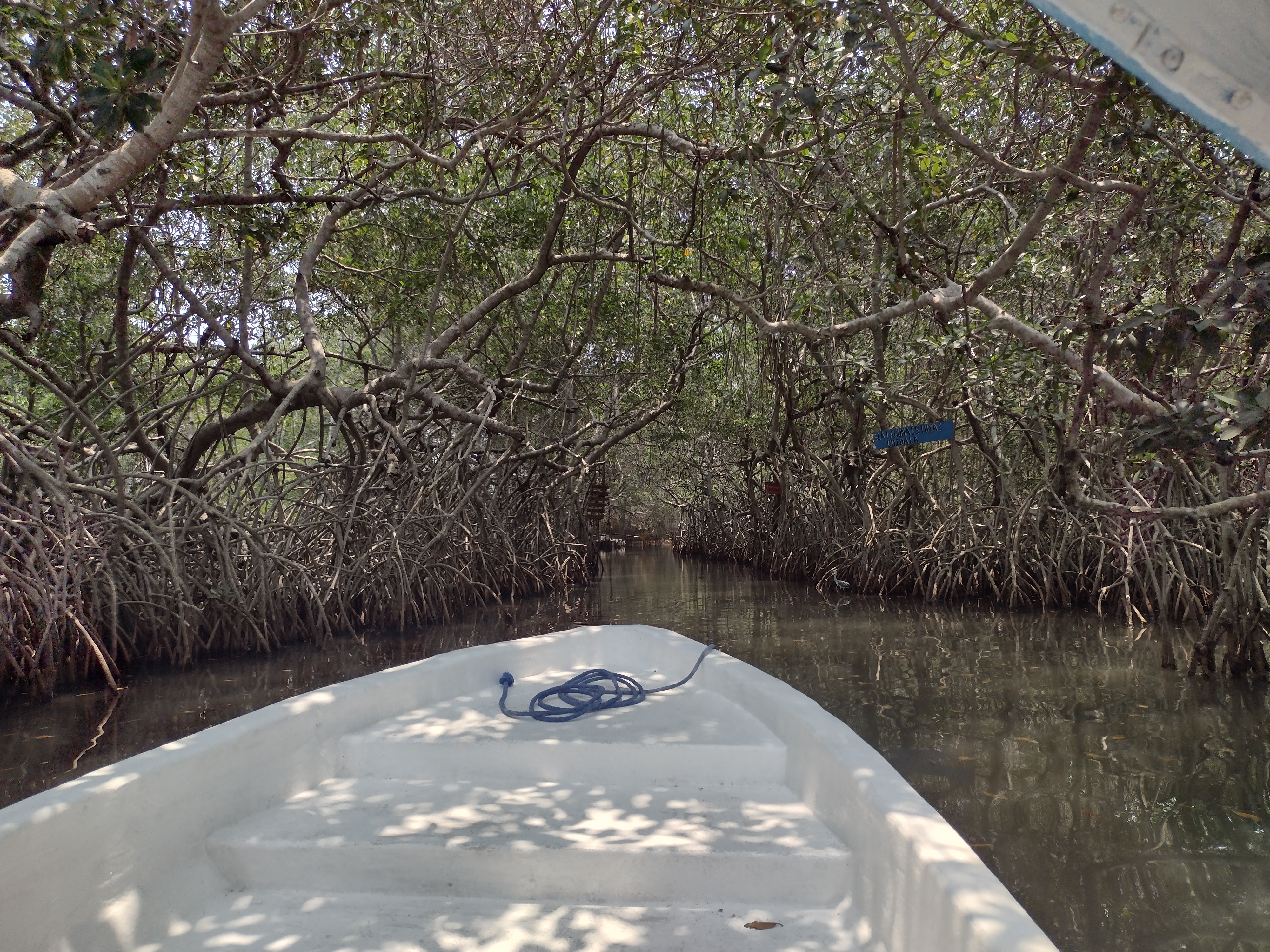 La Llegada Del Pescador image 6