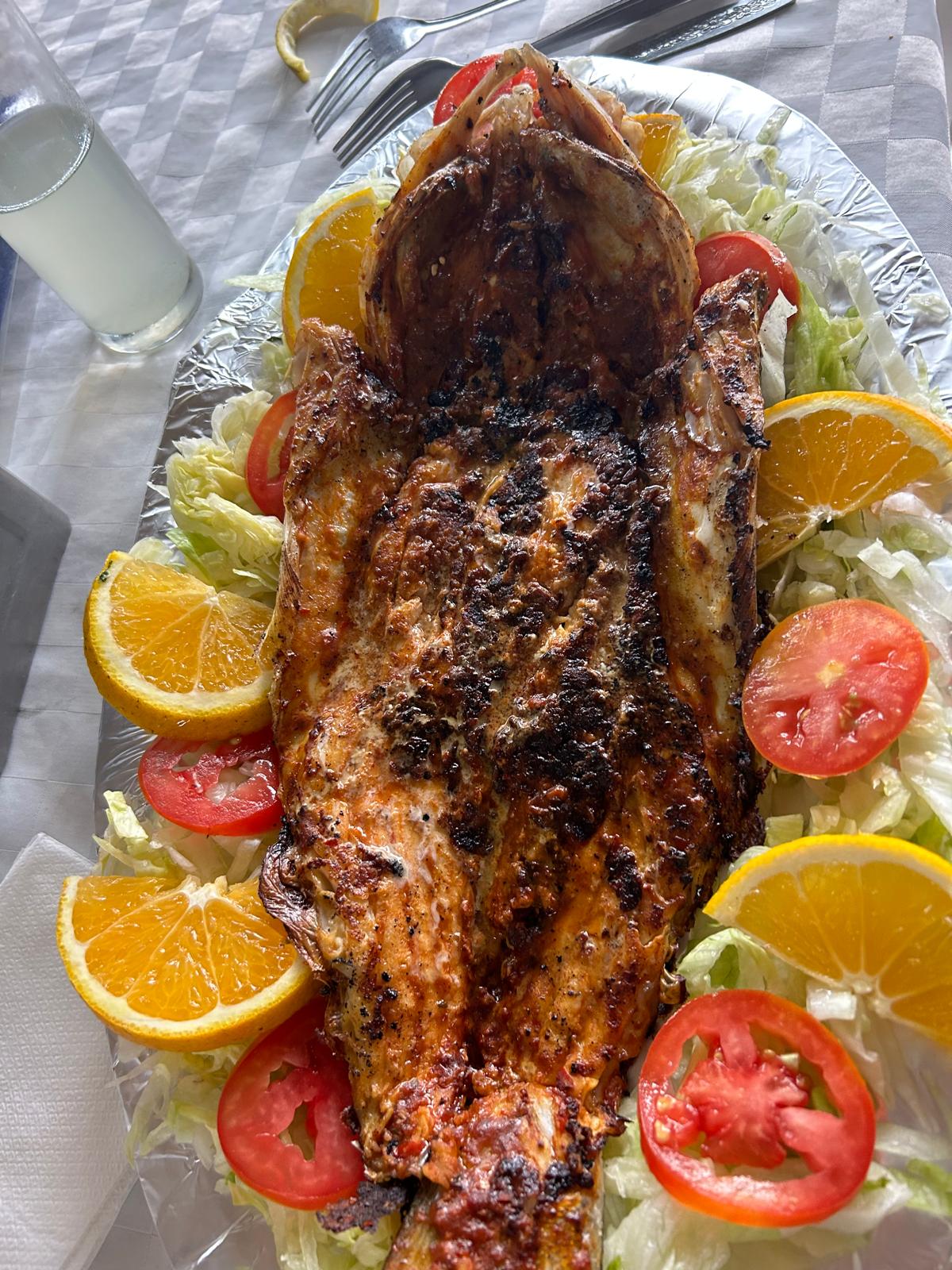 La Llegada Del Pescador image 8