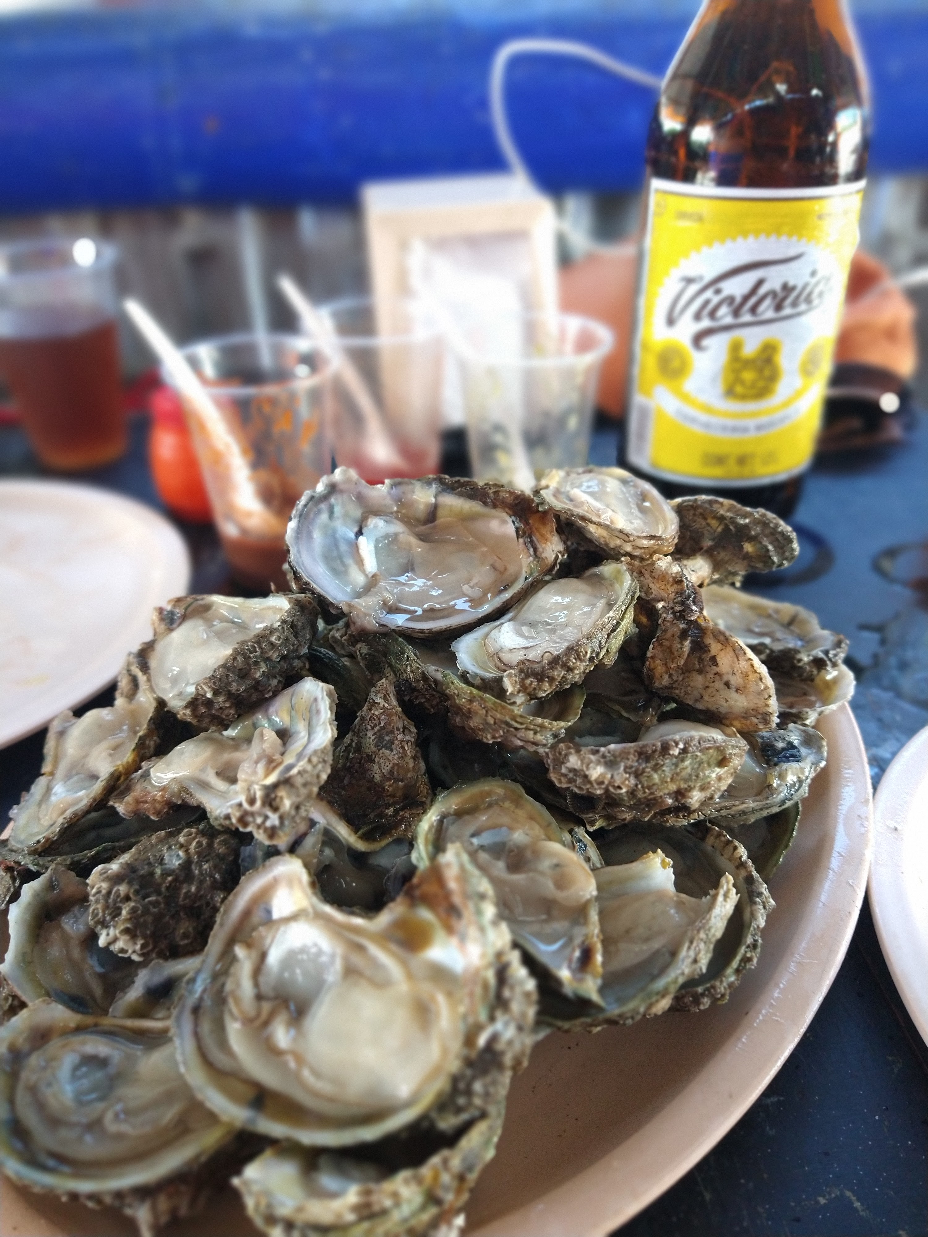 La Llegada Del Pescador image 9