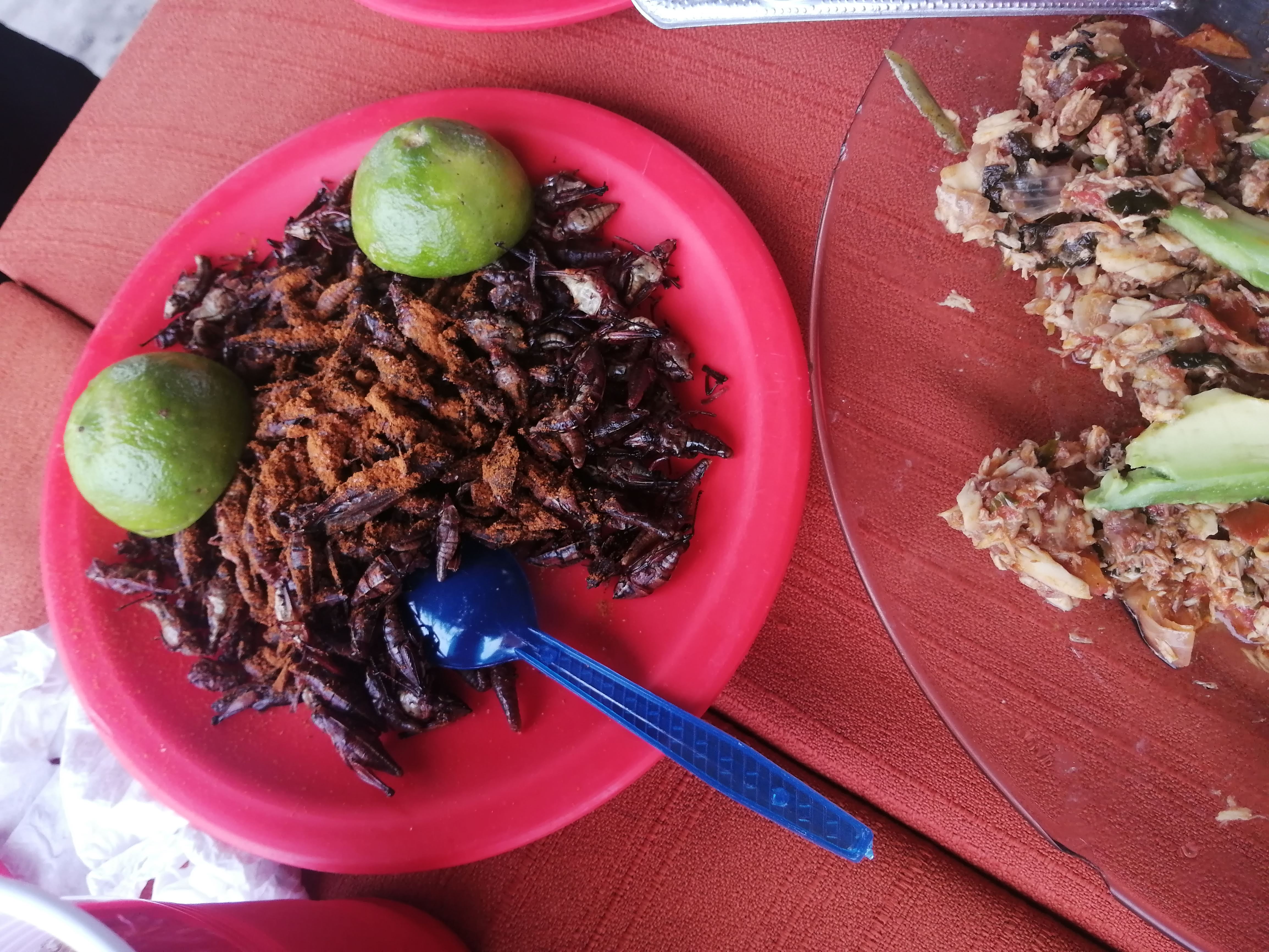 Restaurante Ramos image 8