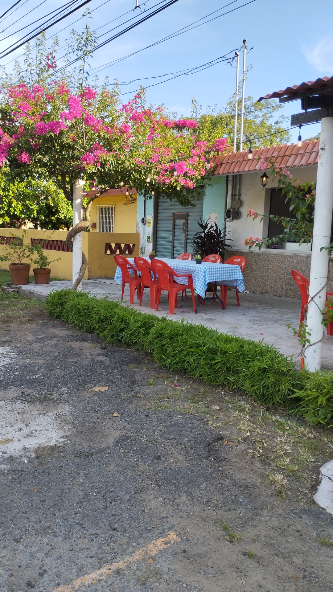 Llorona Asadero image 3