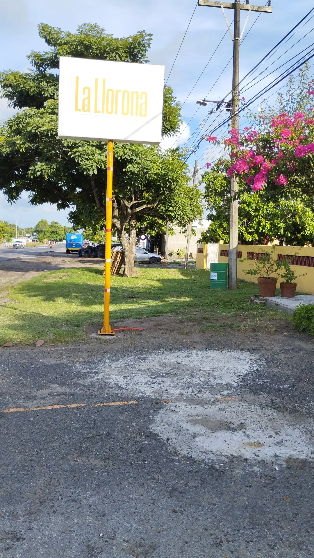 Llorona Asadero image 5