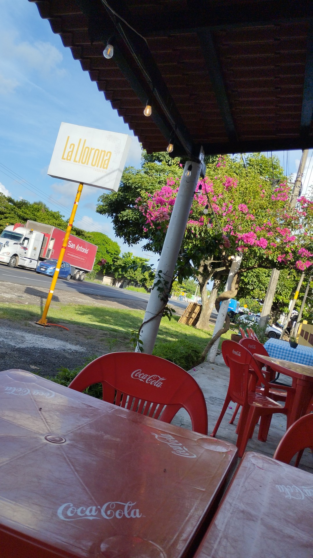 Llorona Asadero image 7