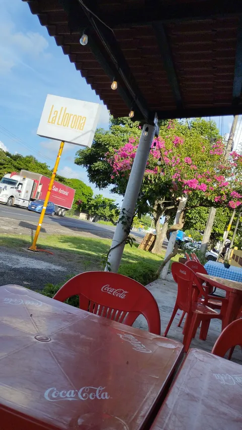 Llorona Asadero image 7