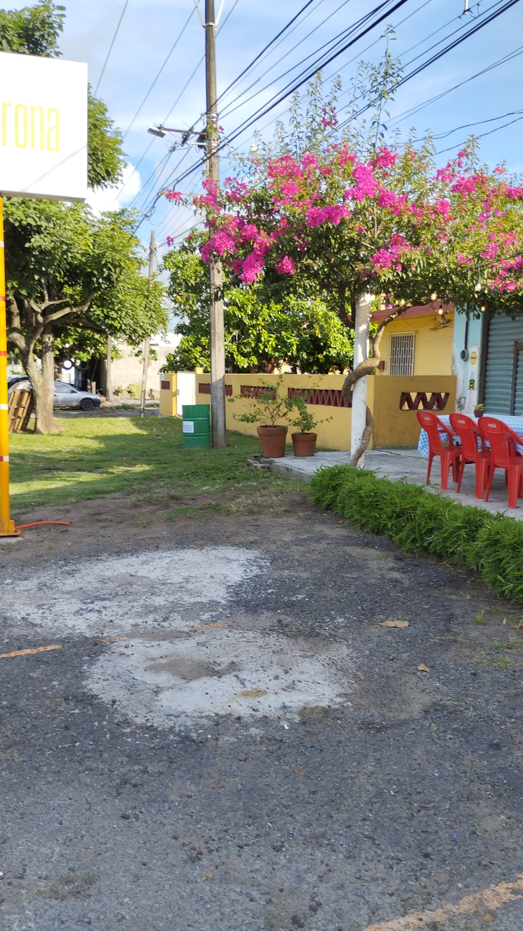 Llorona Asadero image 9