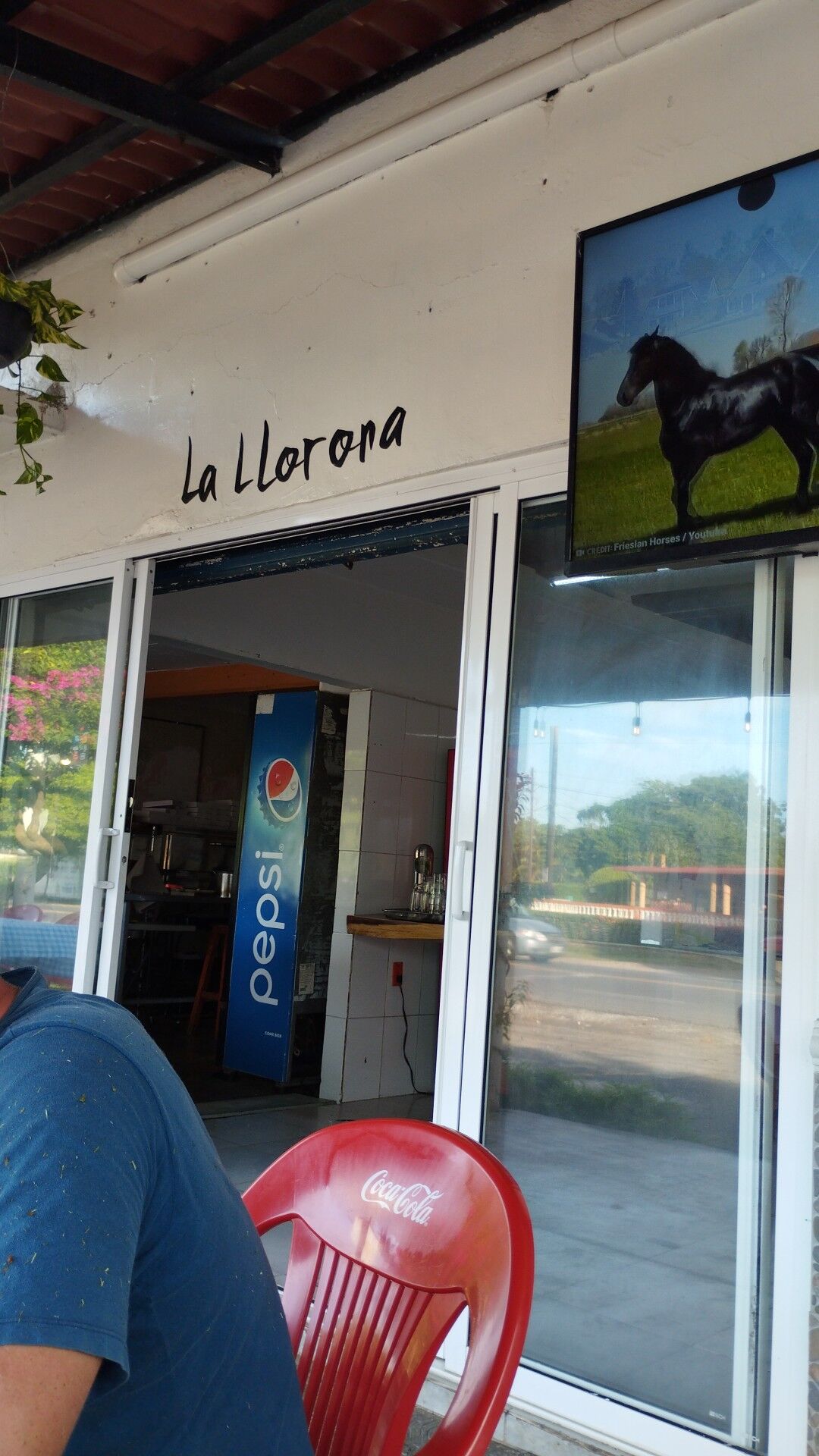 Llorona Asadero image 10