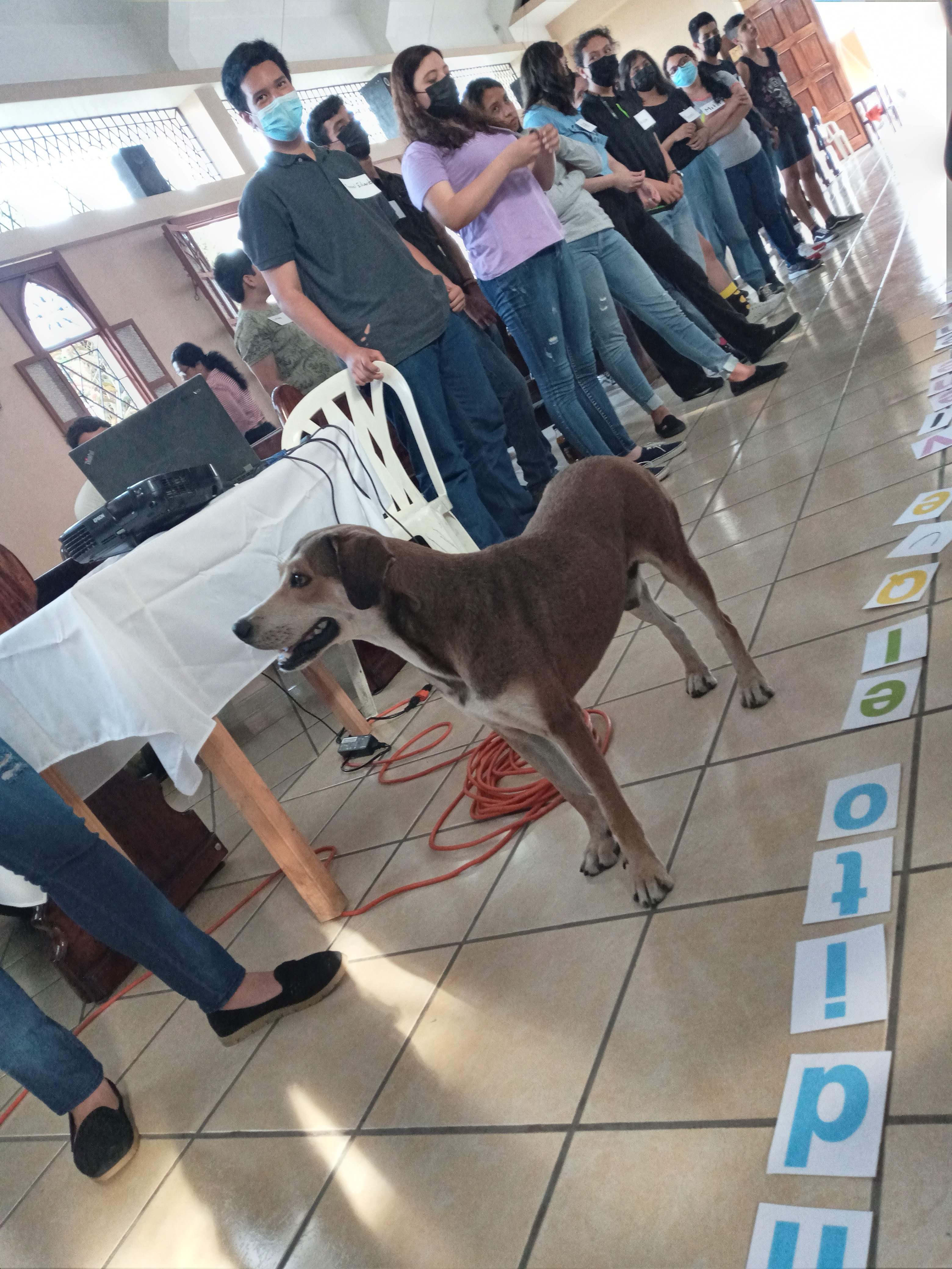 Burgers on the grill. image 4