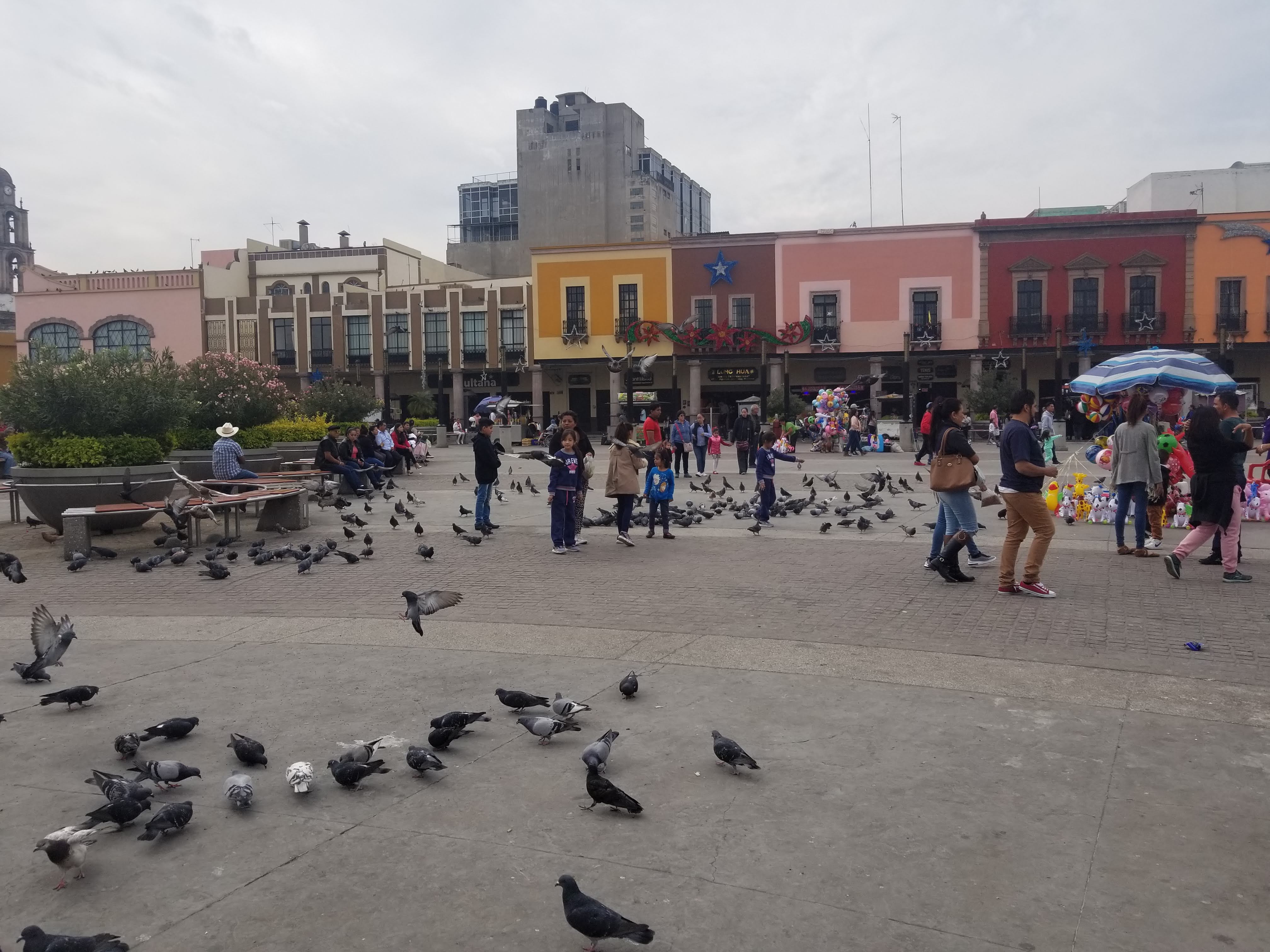 Pescados y Mariscos La Ola image 8