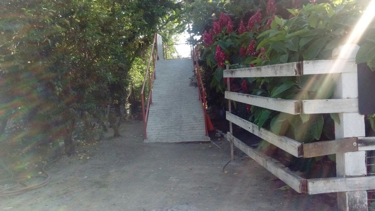 Comedor La Escondida image 4