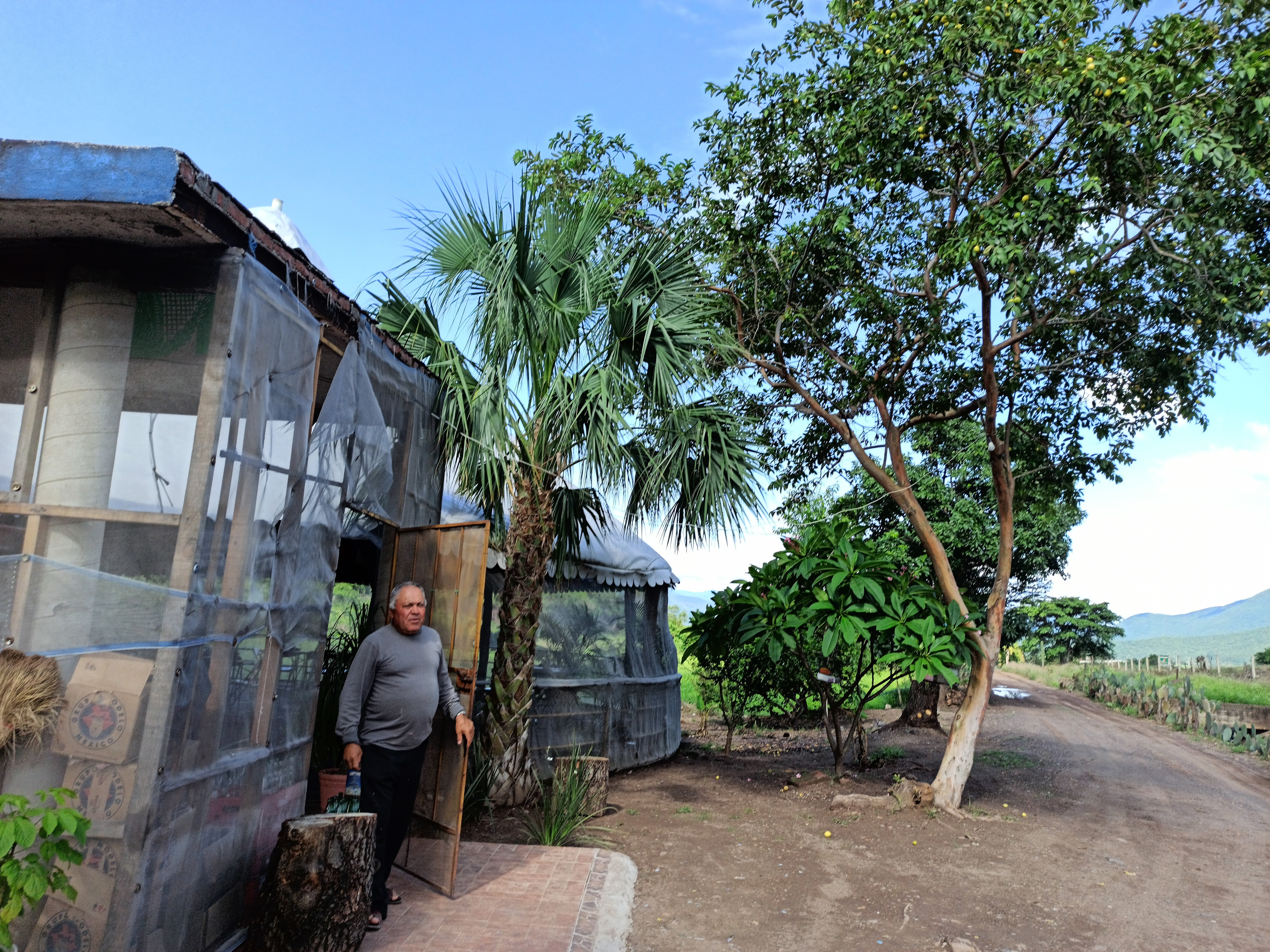 Restaurante familiar "El Choyas" image 5
