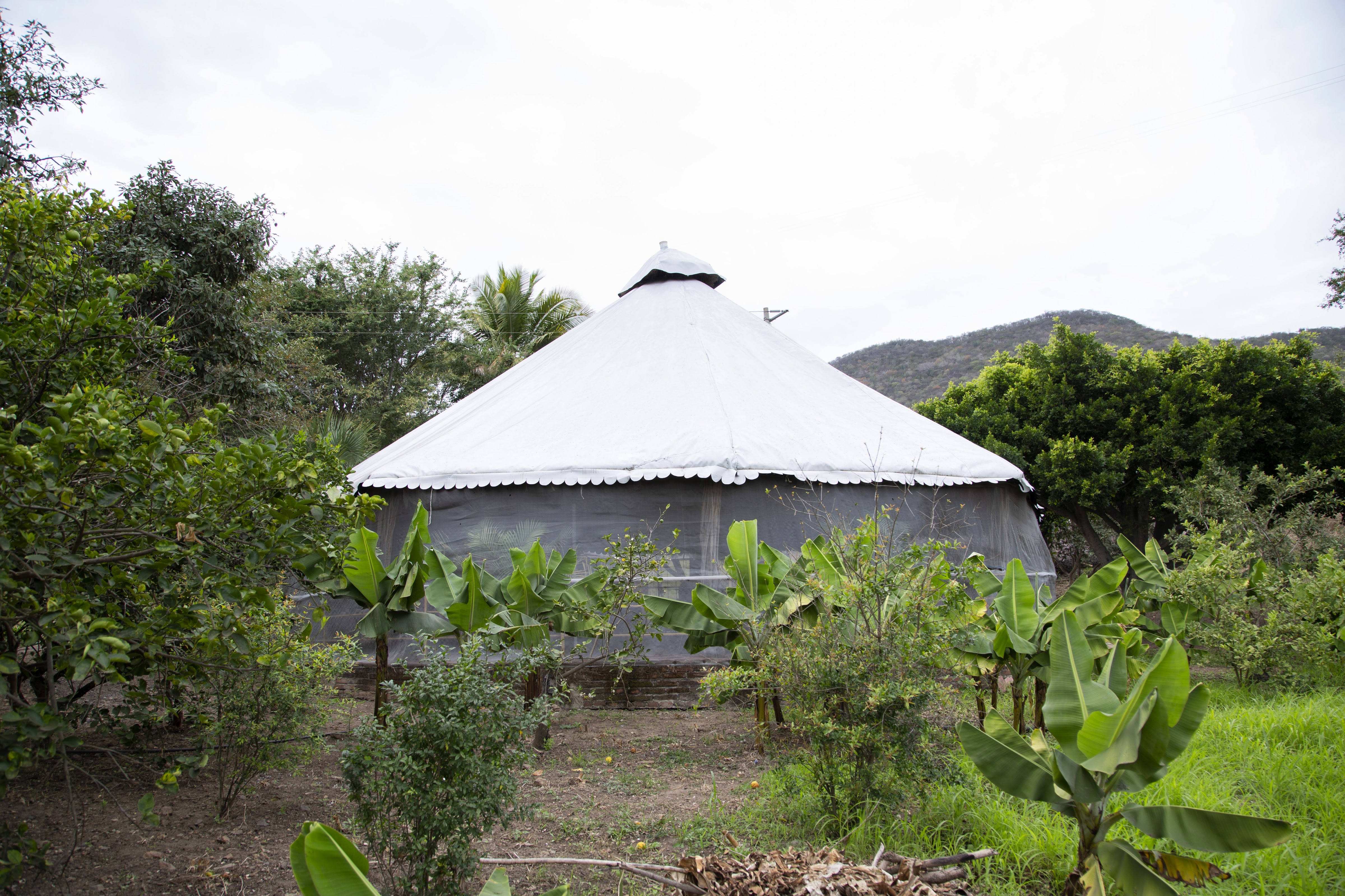 Restaurante familiar "El Choyas" image 6