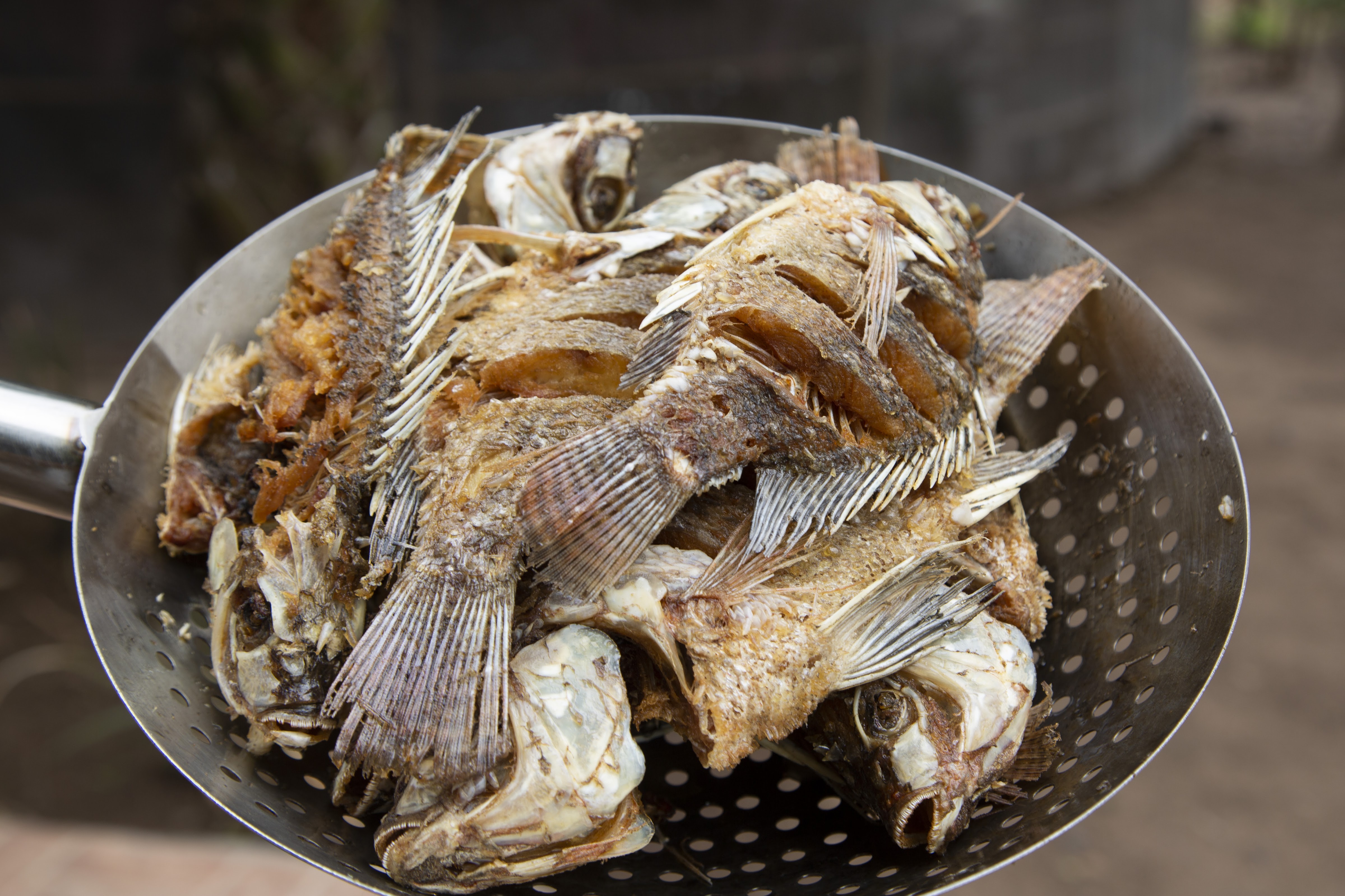 Restaurante familiar "El Choyas" image 7