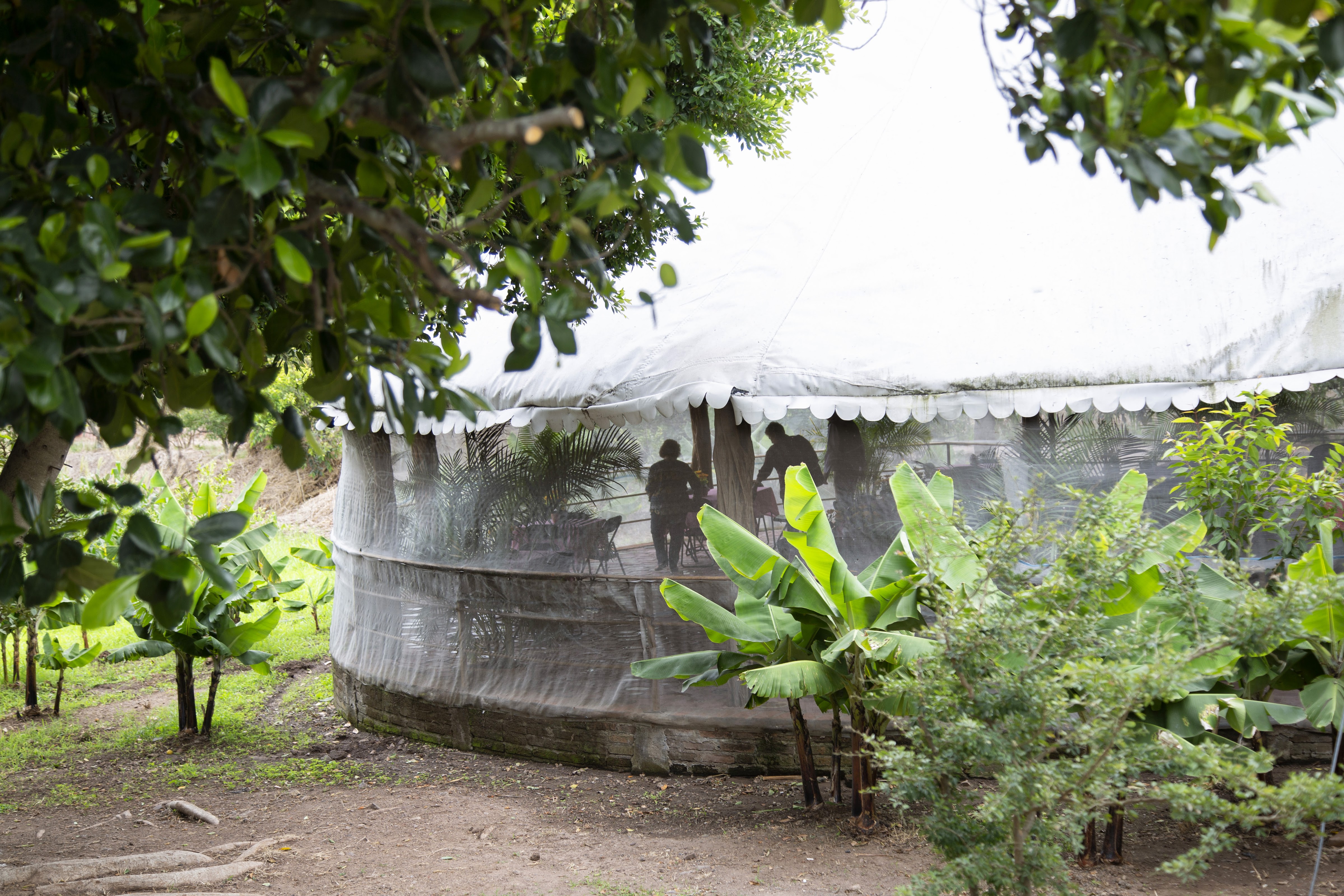 Restaurante familiar "El Choyas" image 8