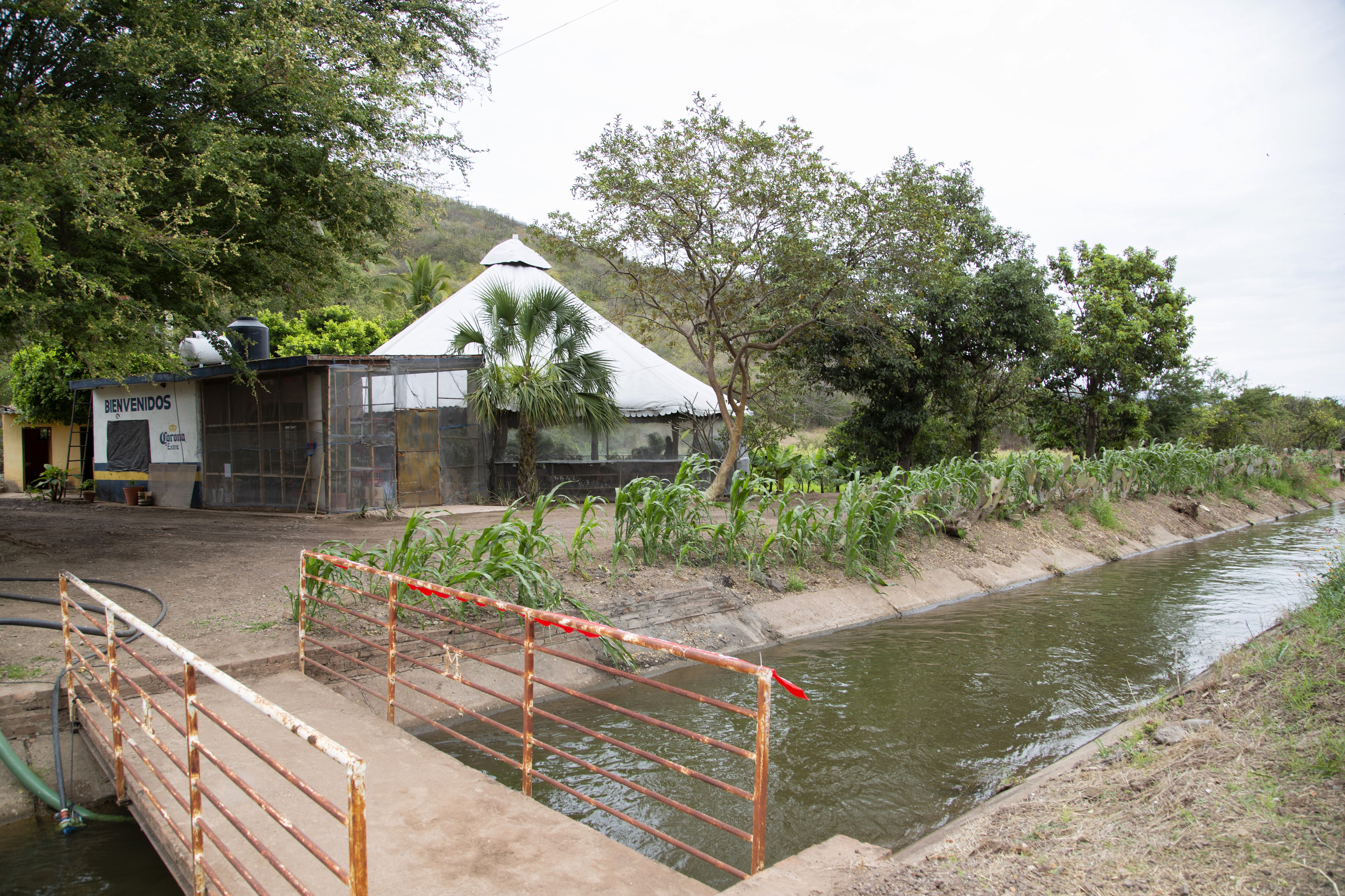 Restaurante familiar "El Choyas" image 10