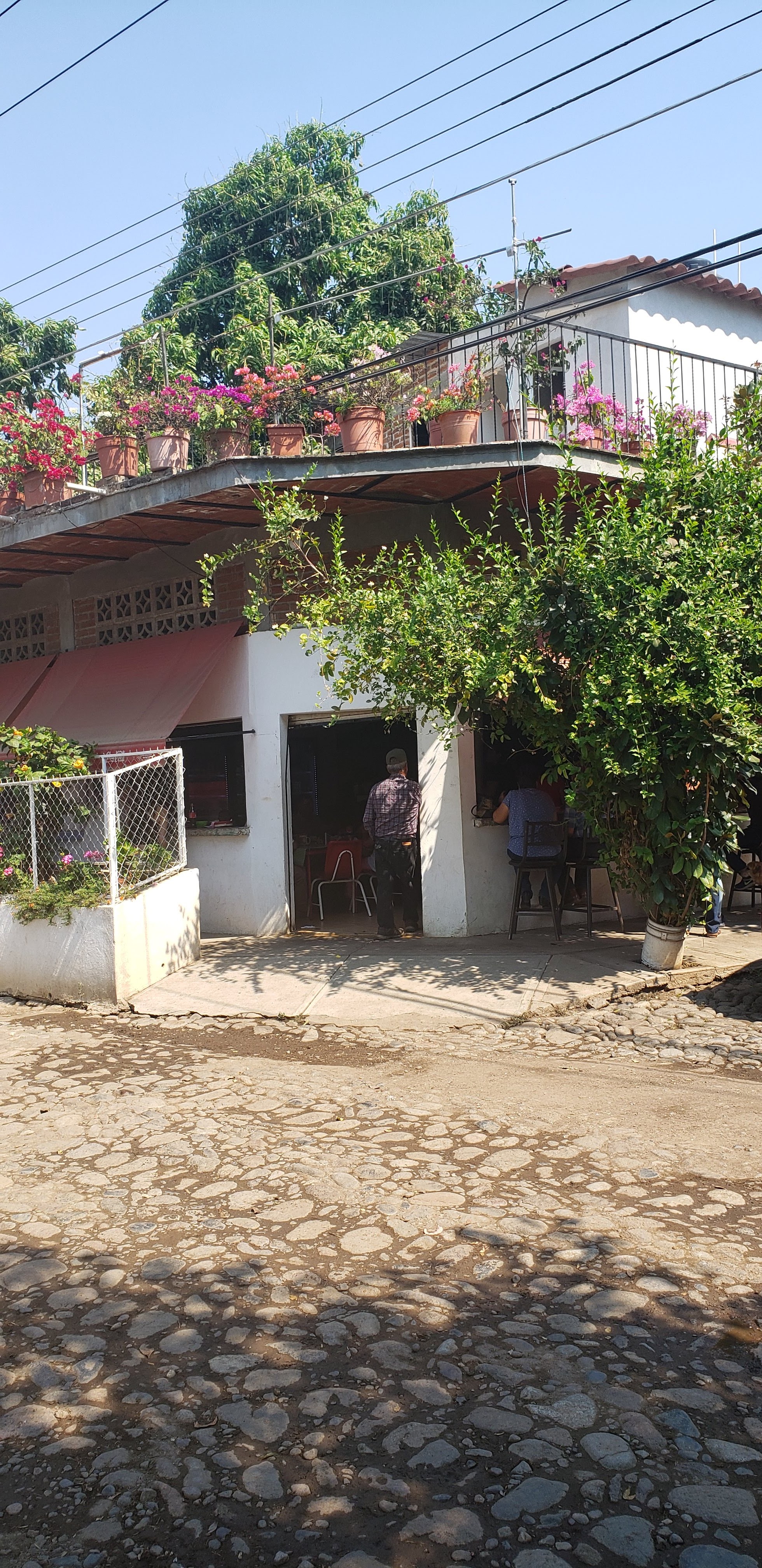 Restaurante De Alicia image 10