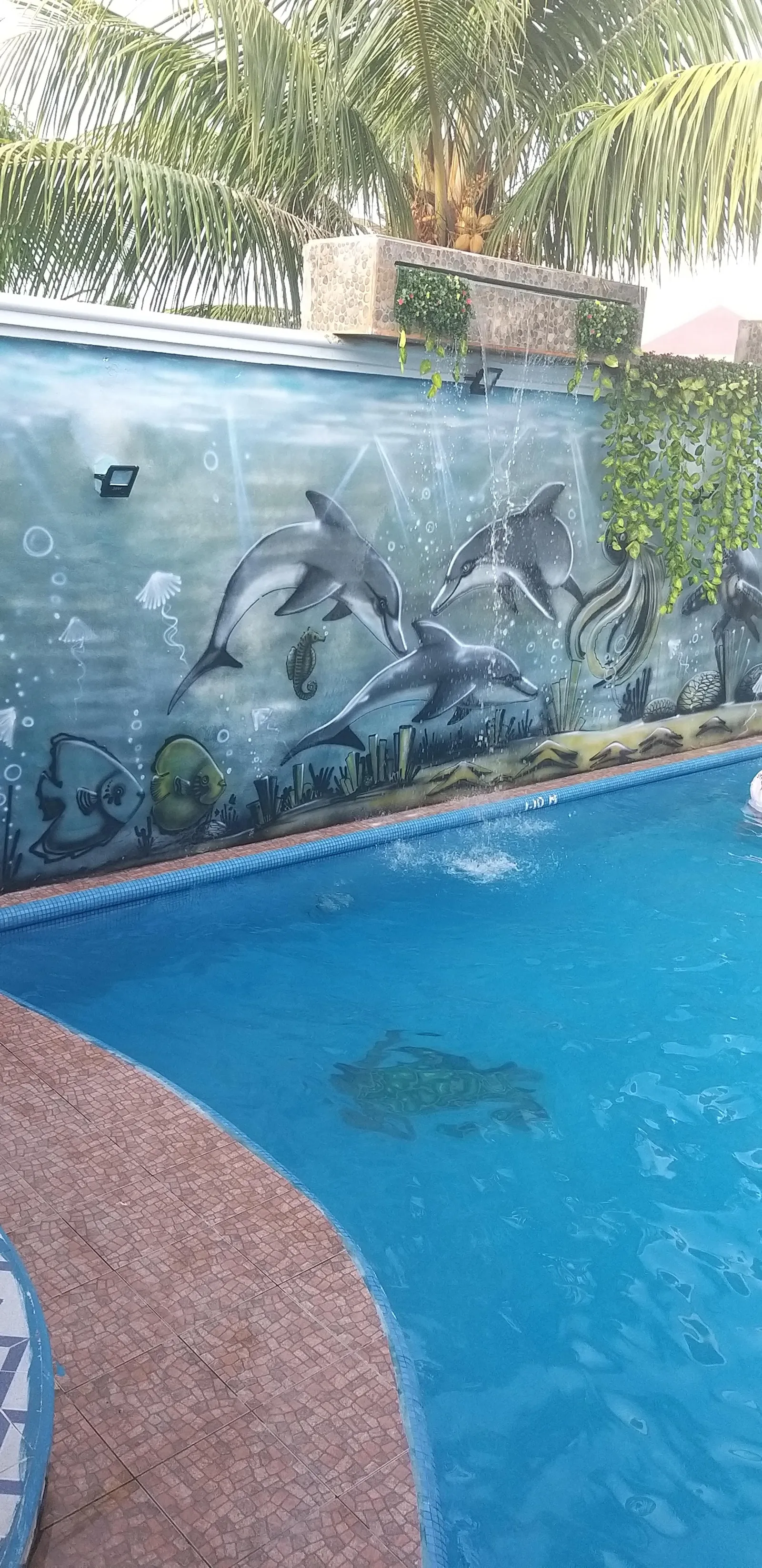 La Piscina image 10