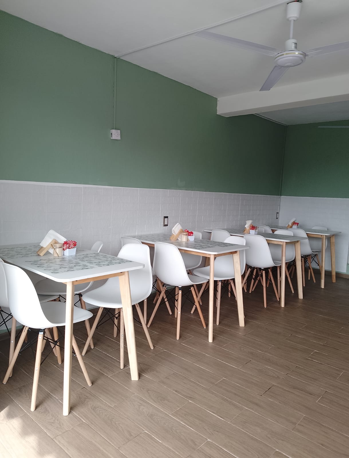 Verde Olivo image 10