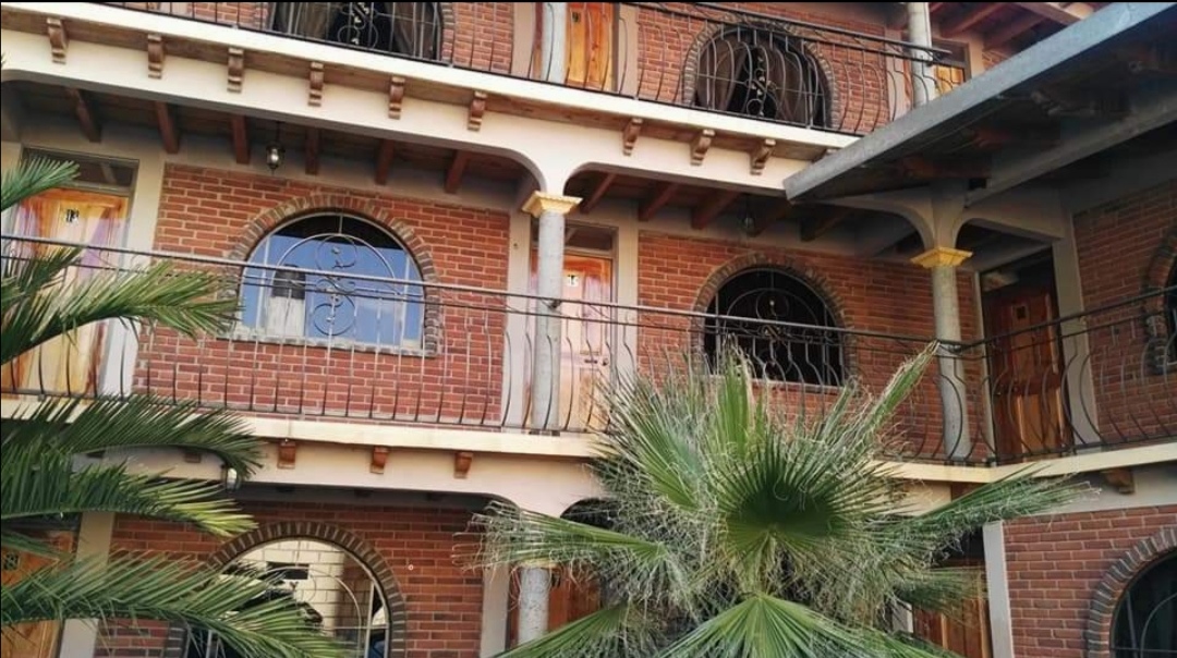 Lagartos house pizza image 3