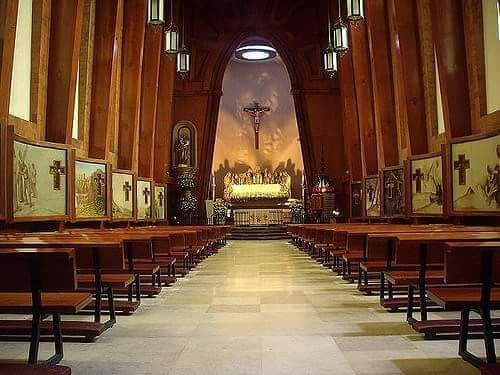 Lagartos house pizza image 4