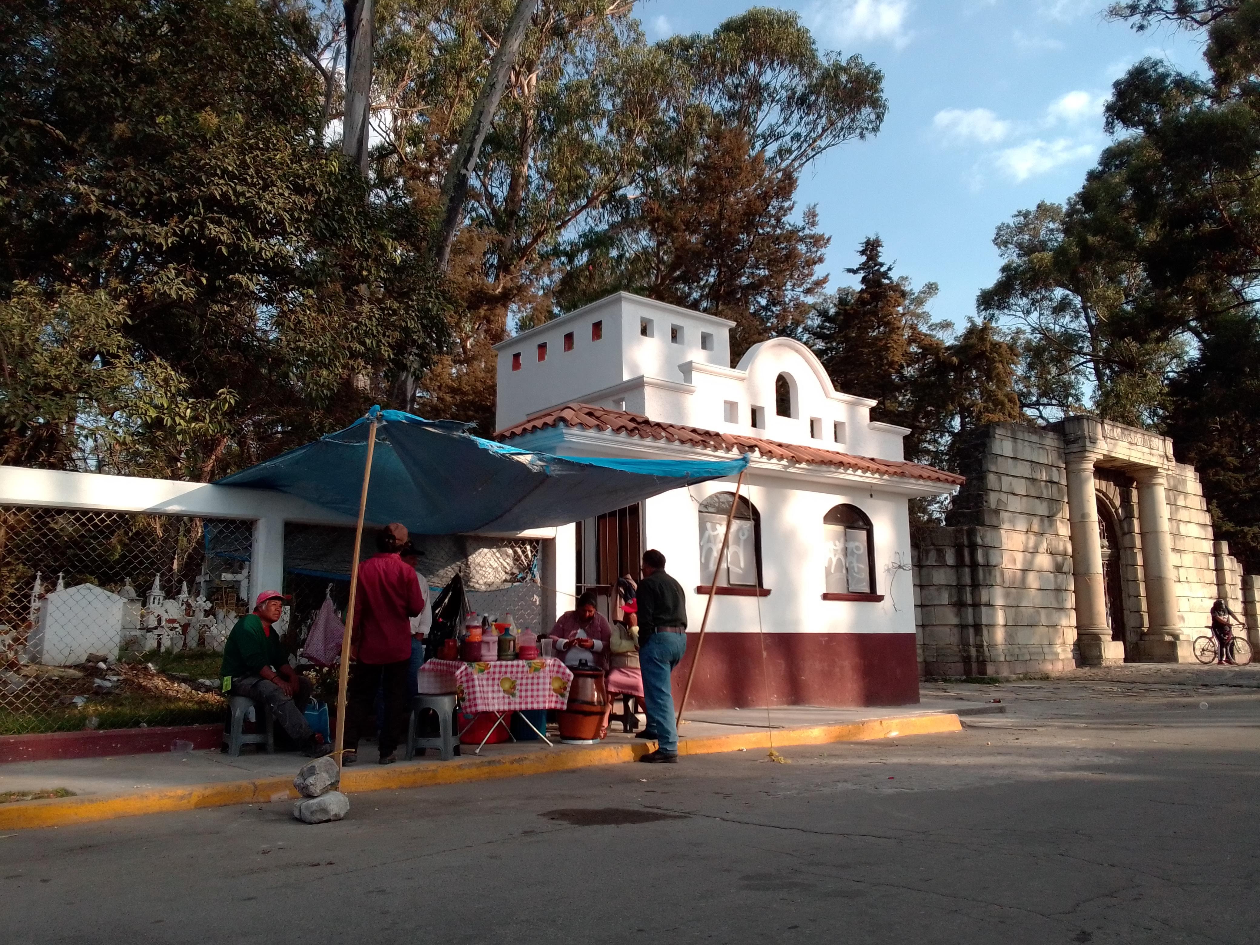 Pulques y Curados la Tia Aurelia image 2