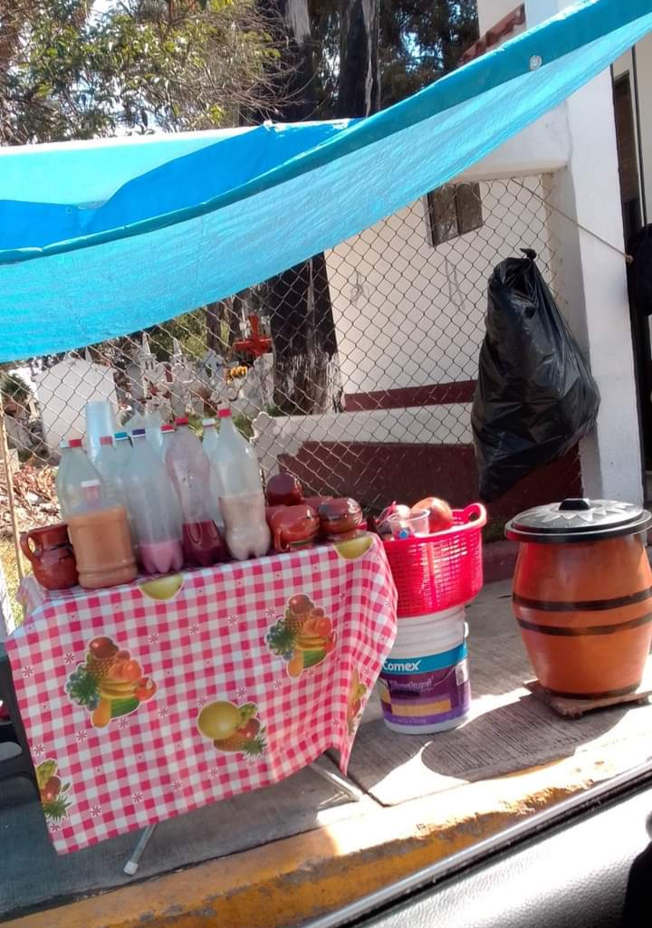 Pulques y Curados la Tia Aurelia image 3