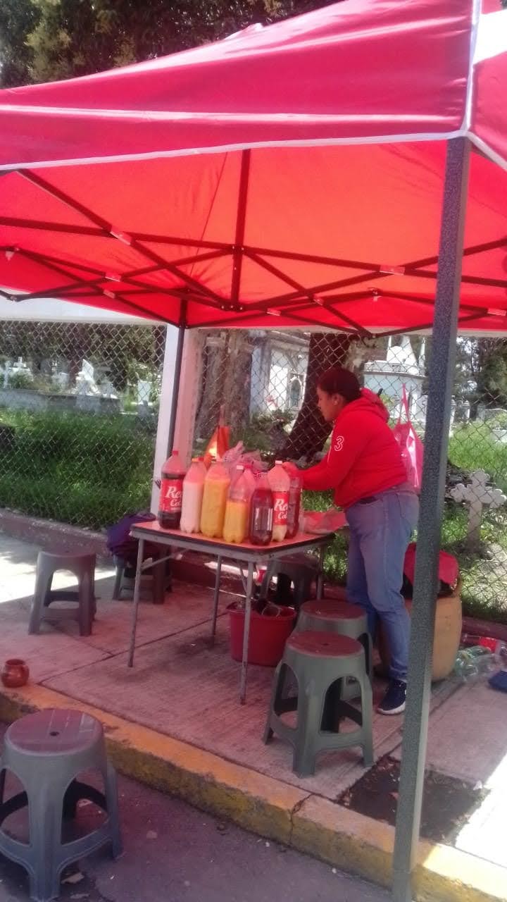 Pulques y Curados la Tia Aurelia image 6