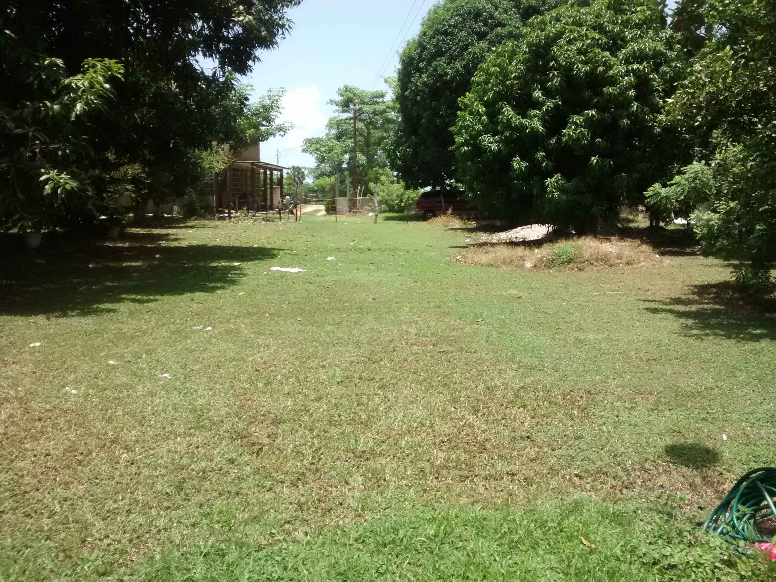 Mi Viejo Palizada image 8