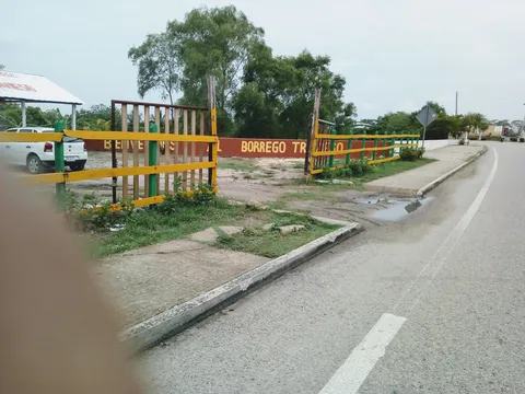 El Borrego Travieso image 3