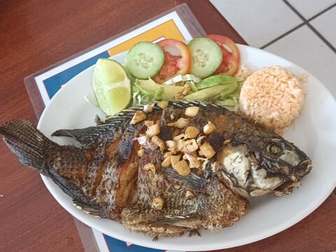 La Lupita image 4
