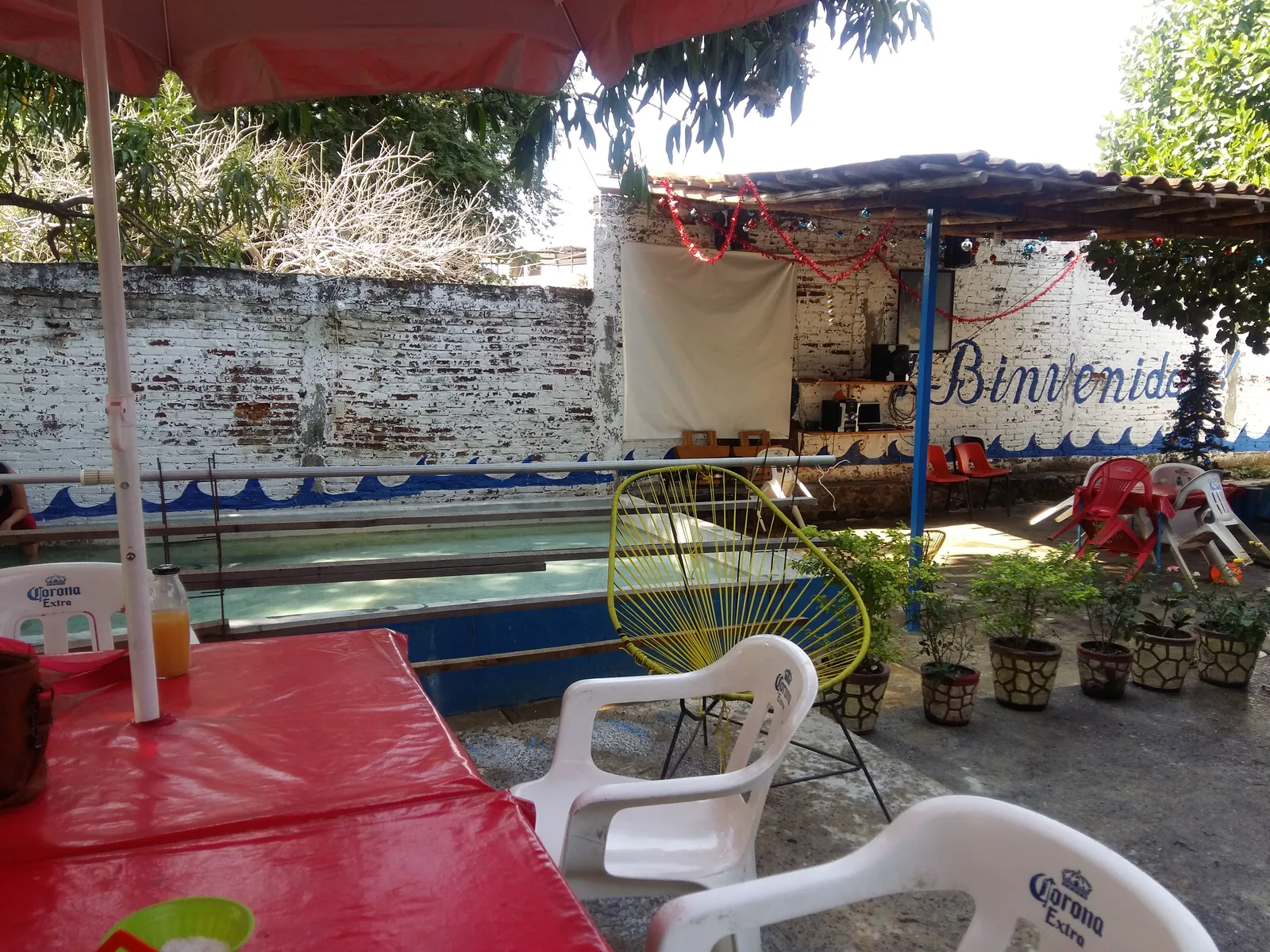 MARISQUERIA LA SIRENA GORDA image 3