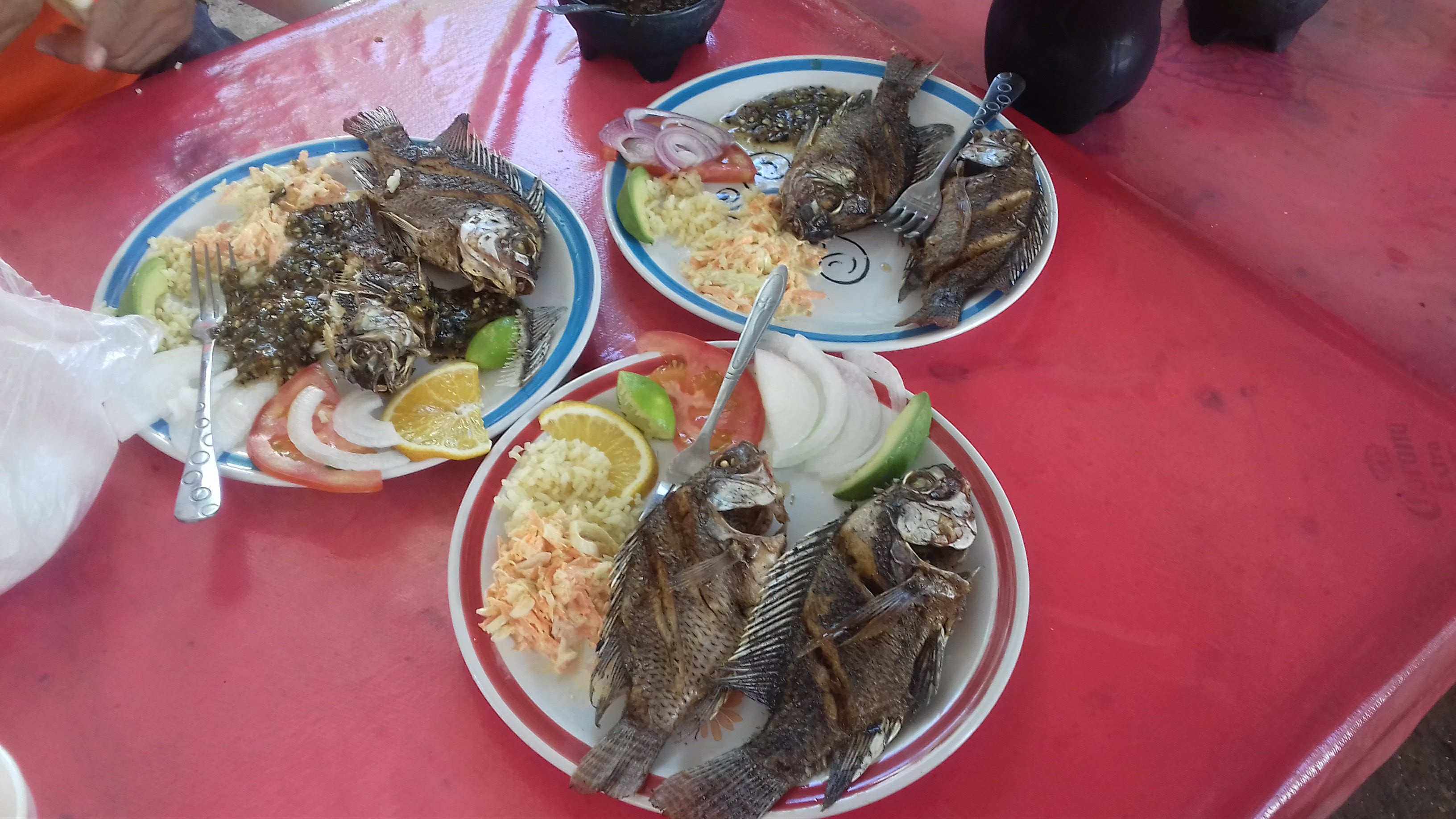 MARISQUERIA LA SIRENA GORDA image 4