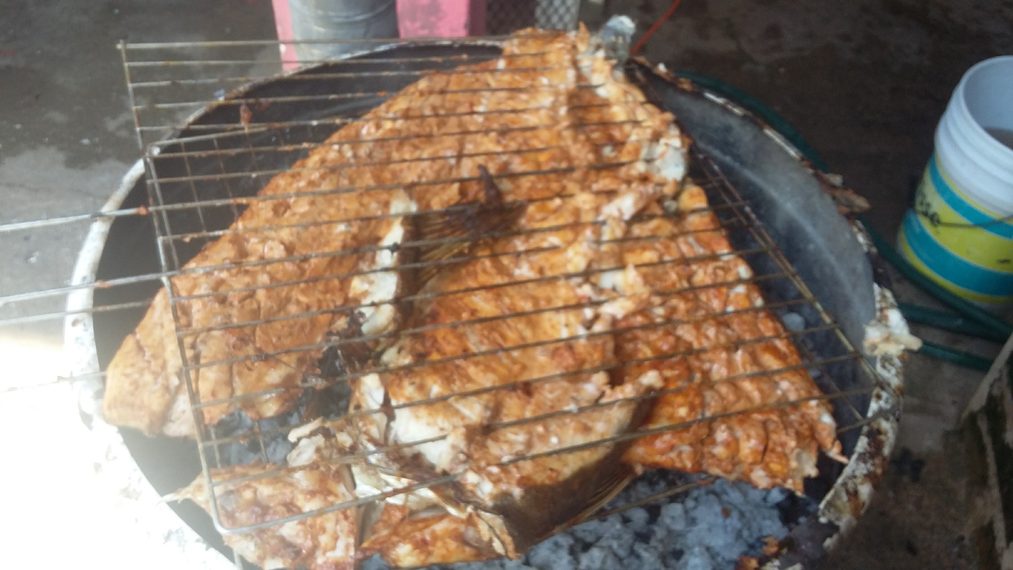 MARISQUERIA LA SIRENA GORDA image 5