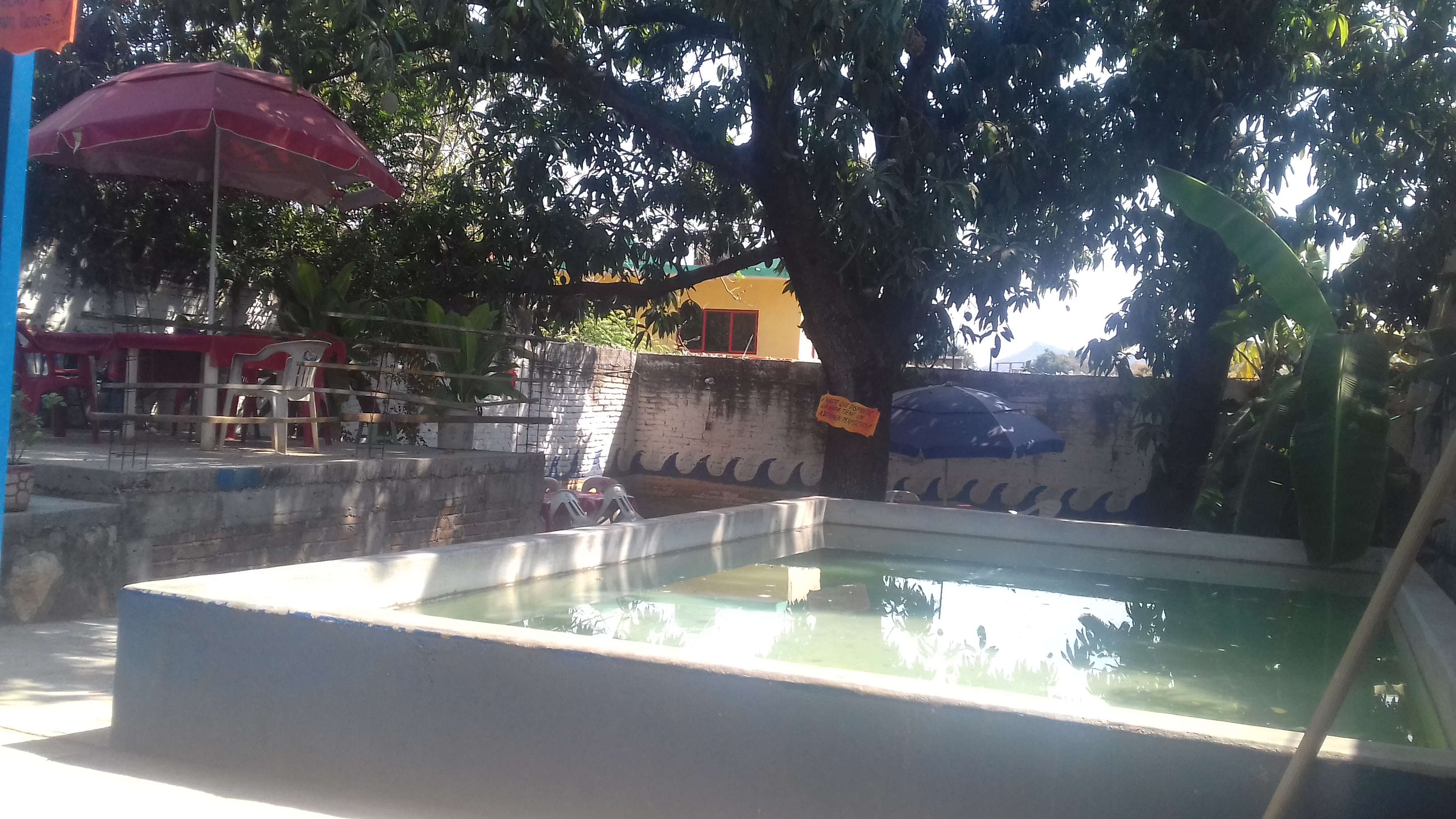 MARISQUERIA LA SIRENA GORDA image 9