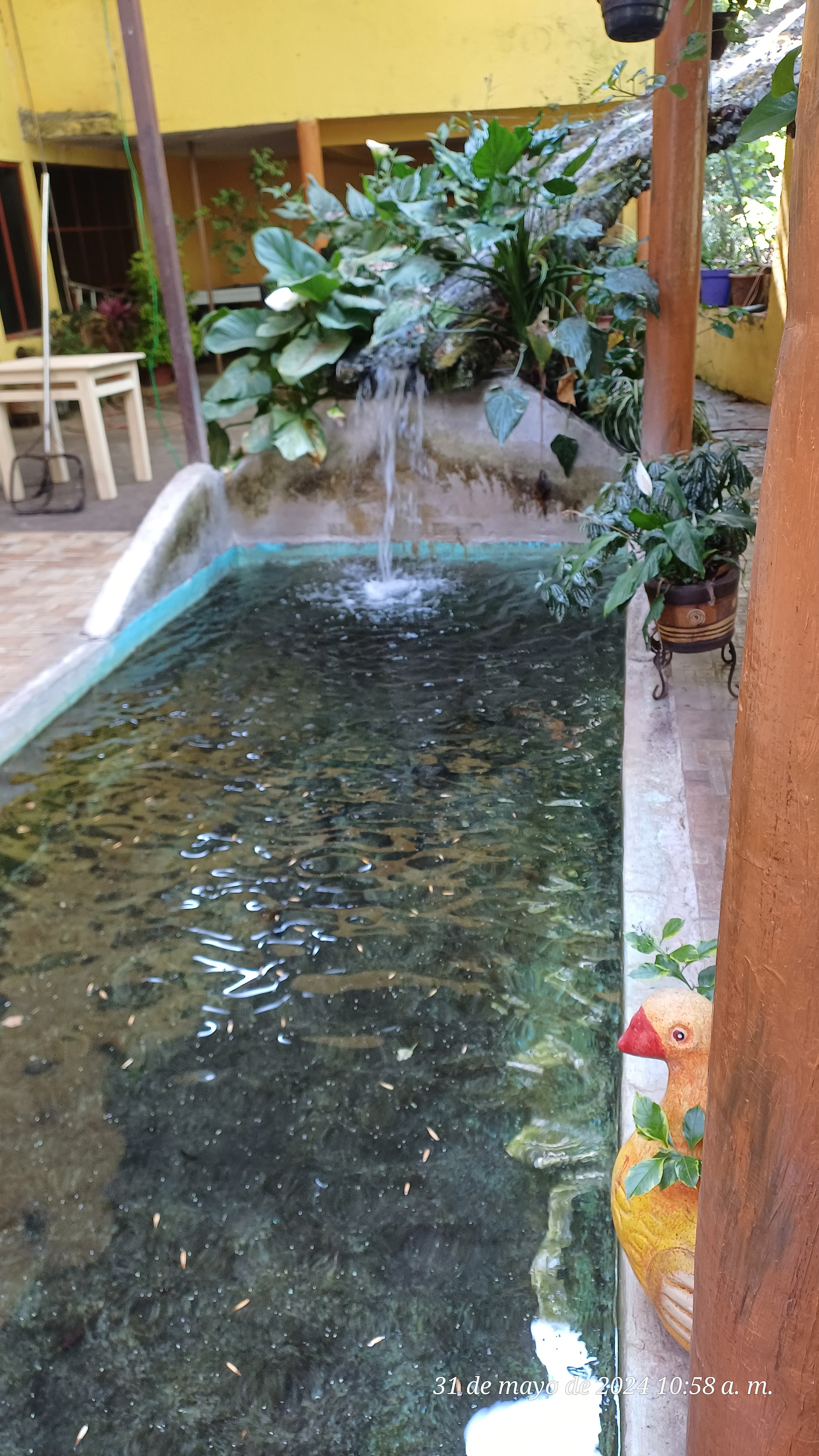 The half moon image 2