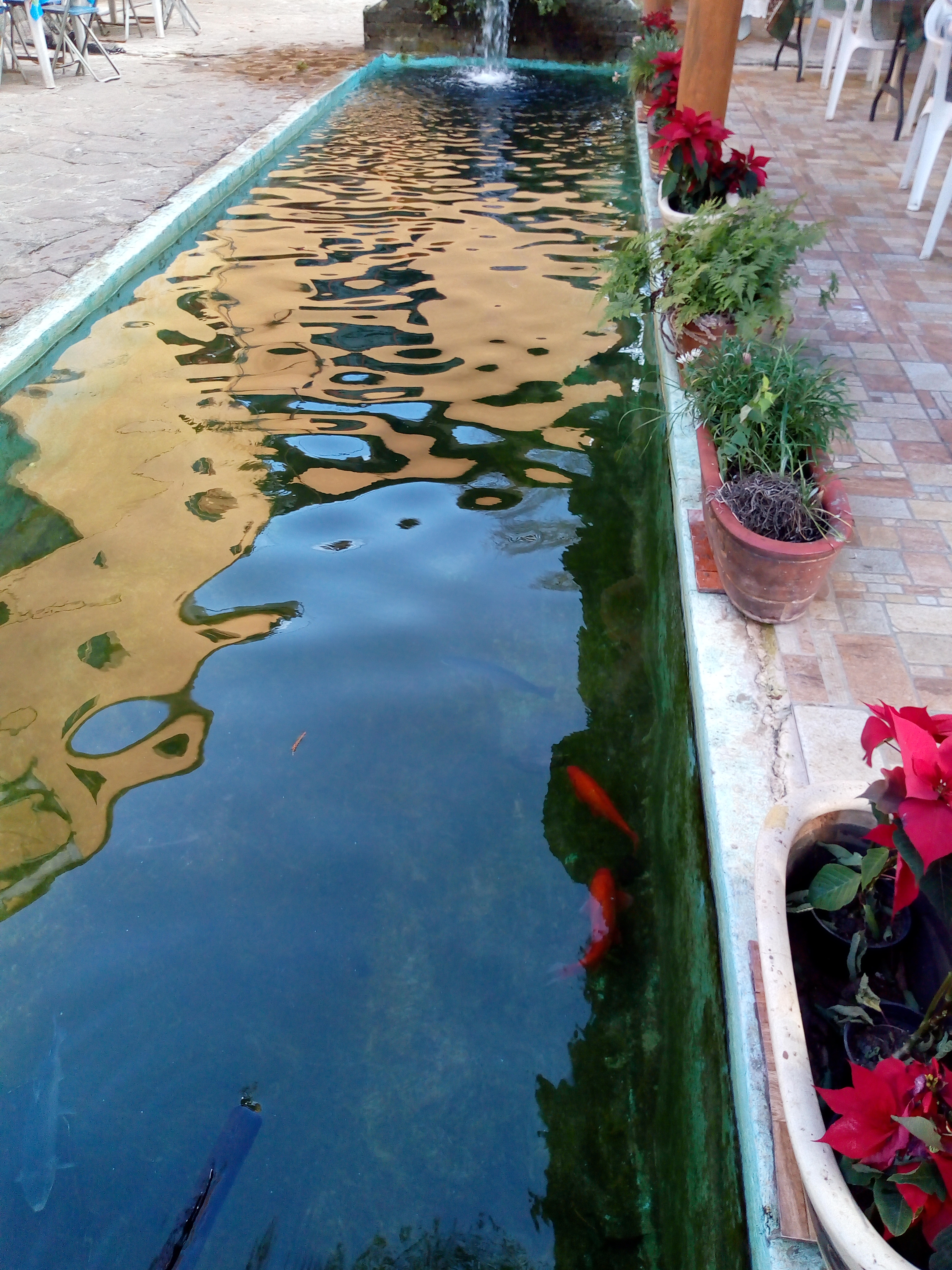 The half moon image 9