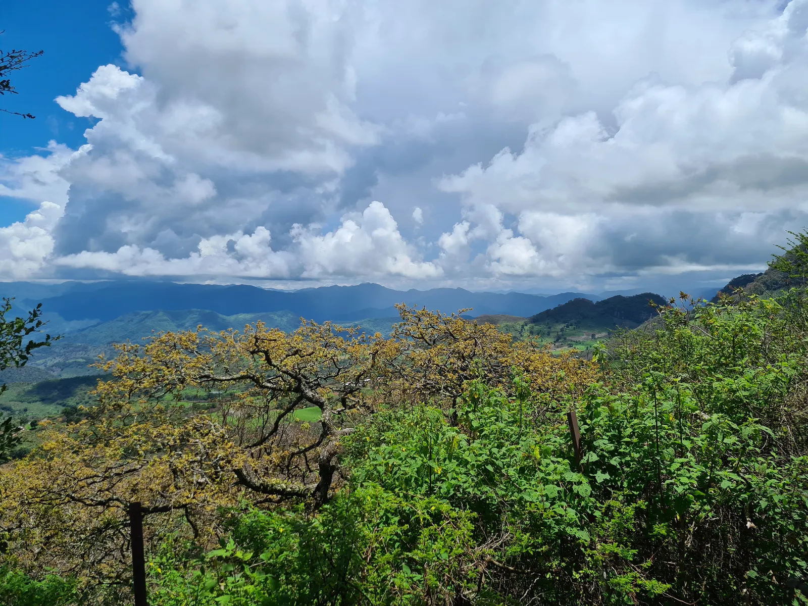 Las Nubes image 8